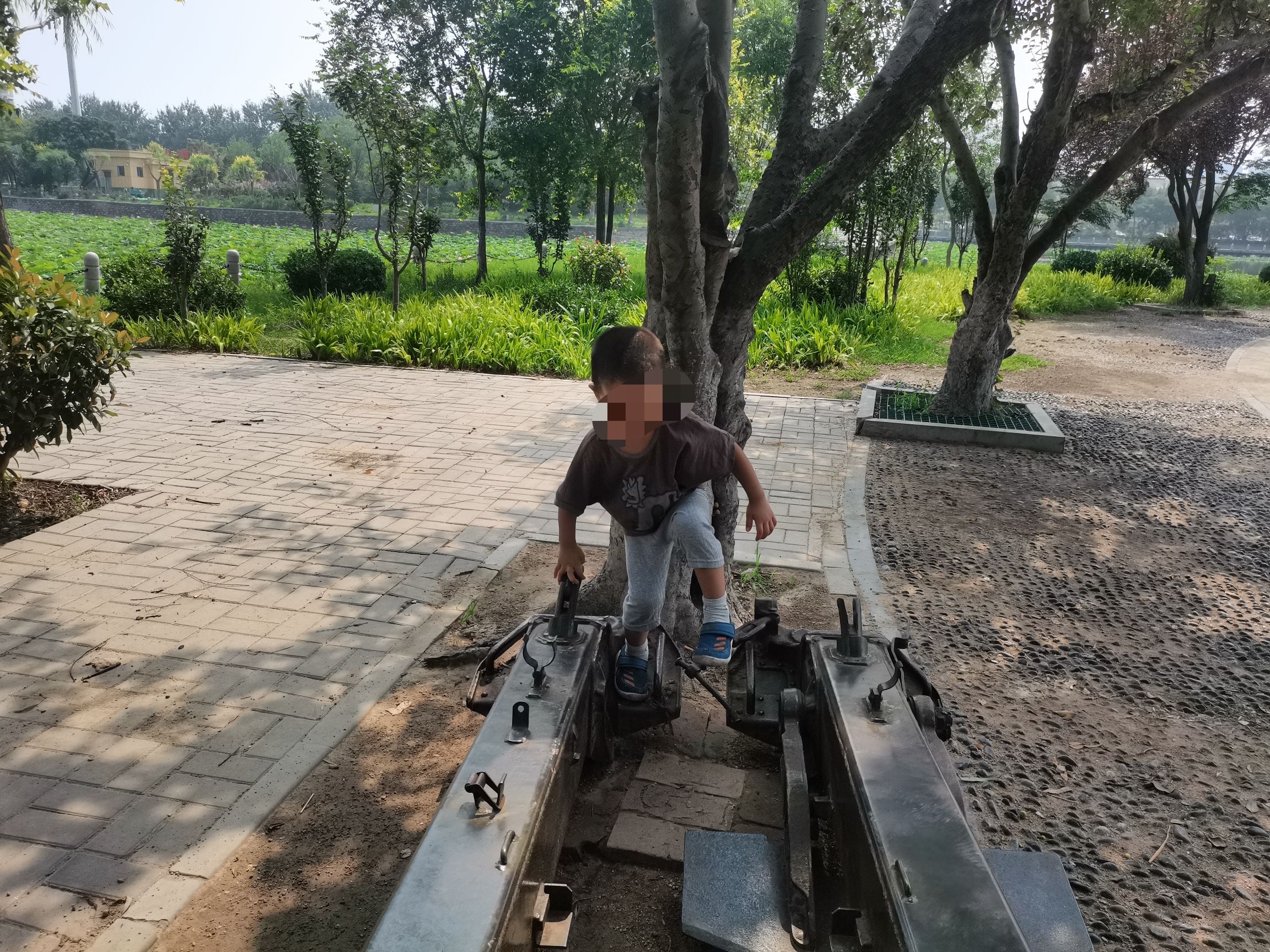 大禹公园旅行图片 2