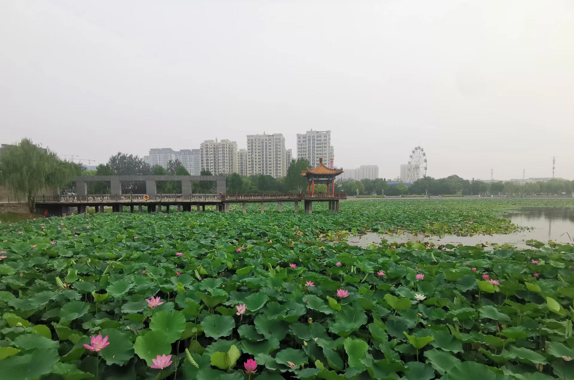 大禹公园旅行图片 3