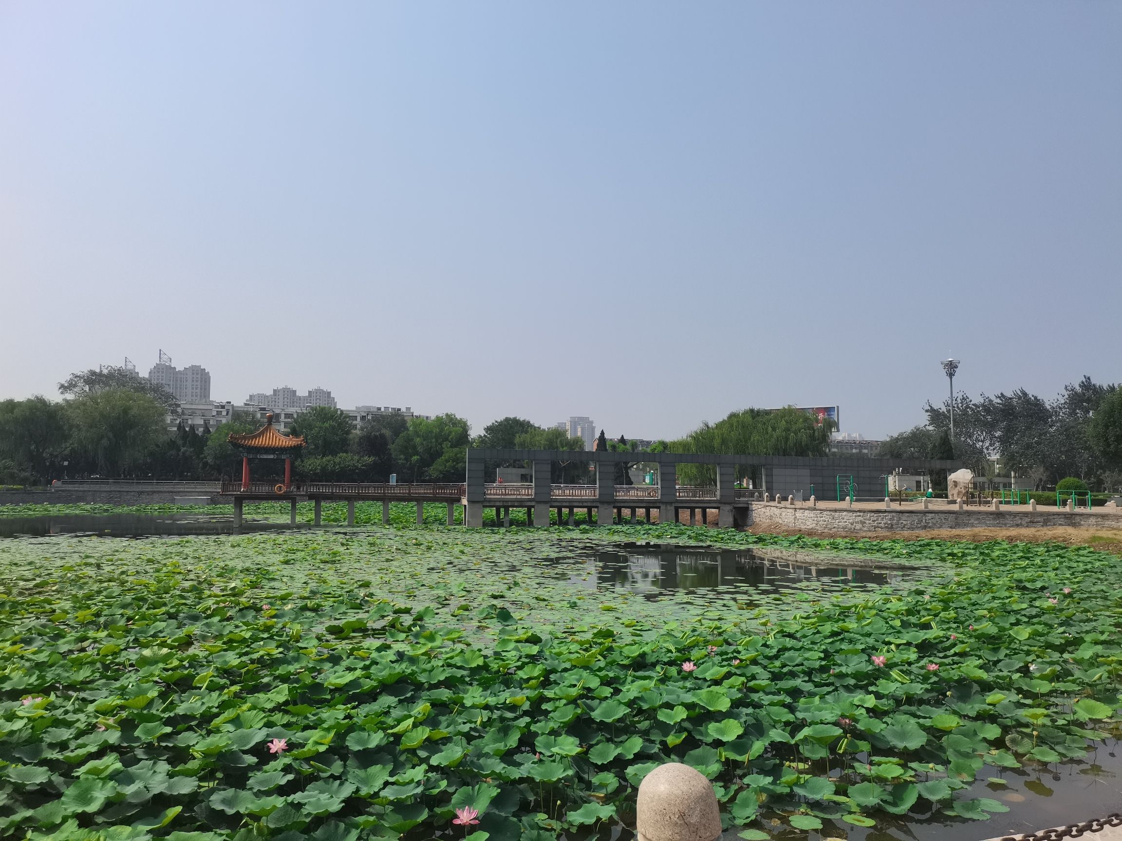 大禹公园旅行图片 3