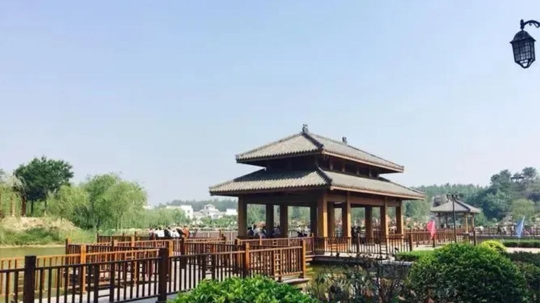 夏津黄河故道森林公园旅行图片 3