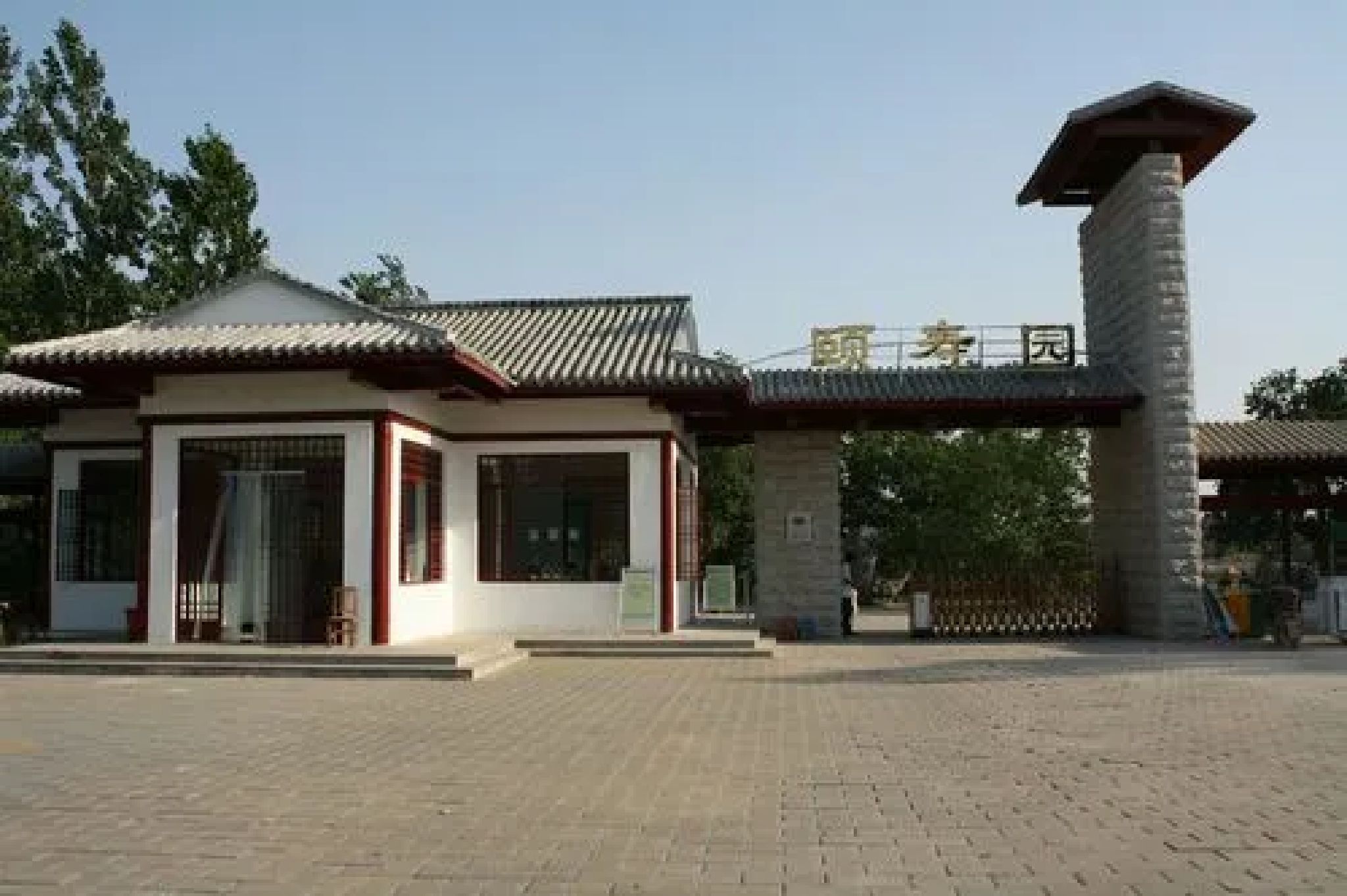 夏津黄河故道森林公园旅行图片 1