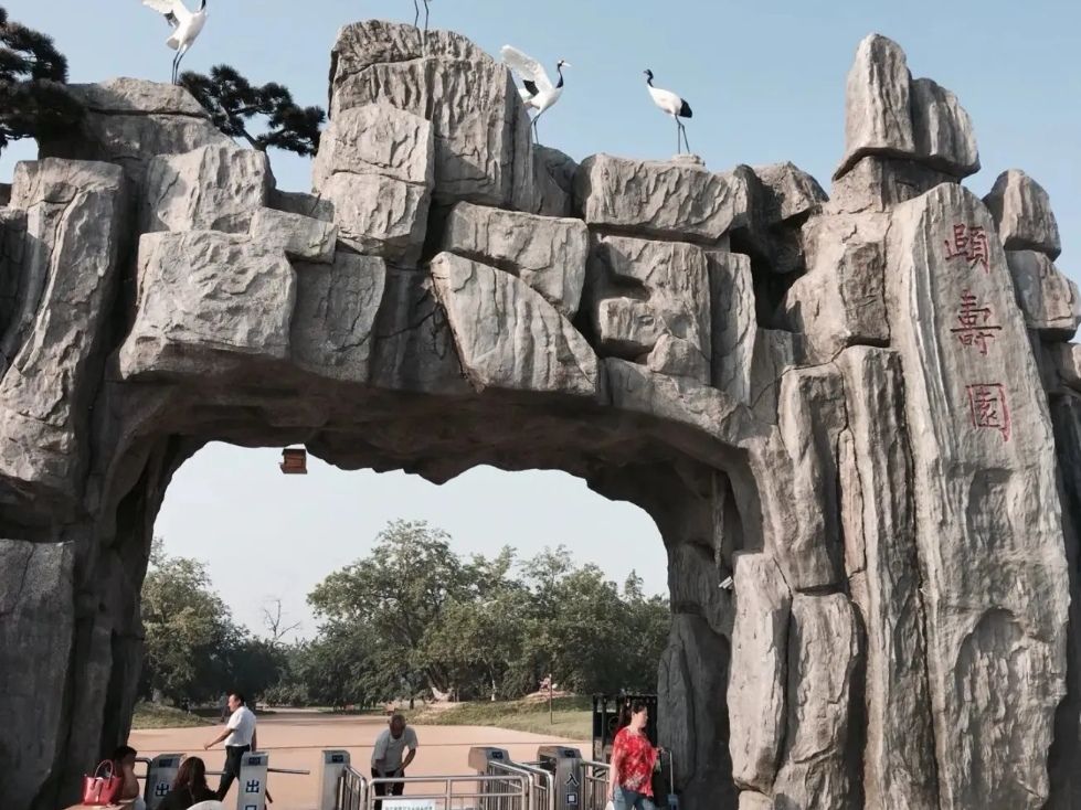 夏津黄河故道森林公园旅行图片 2