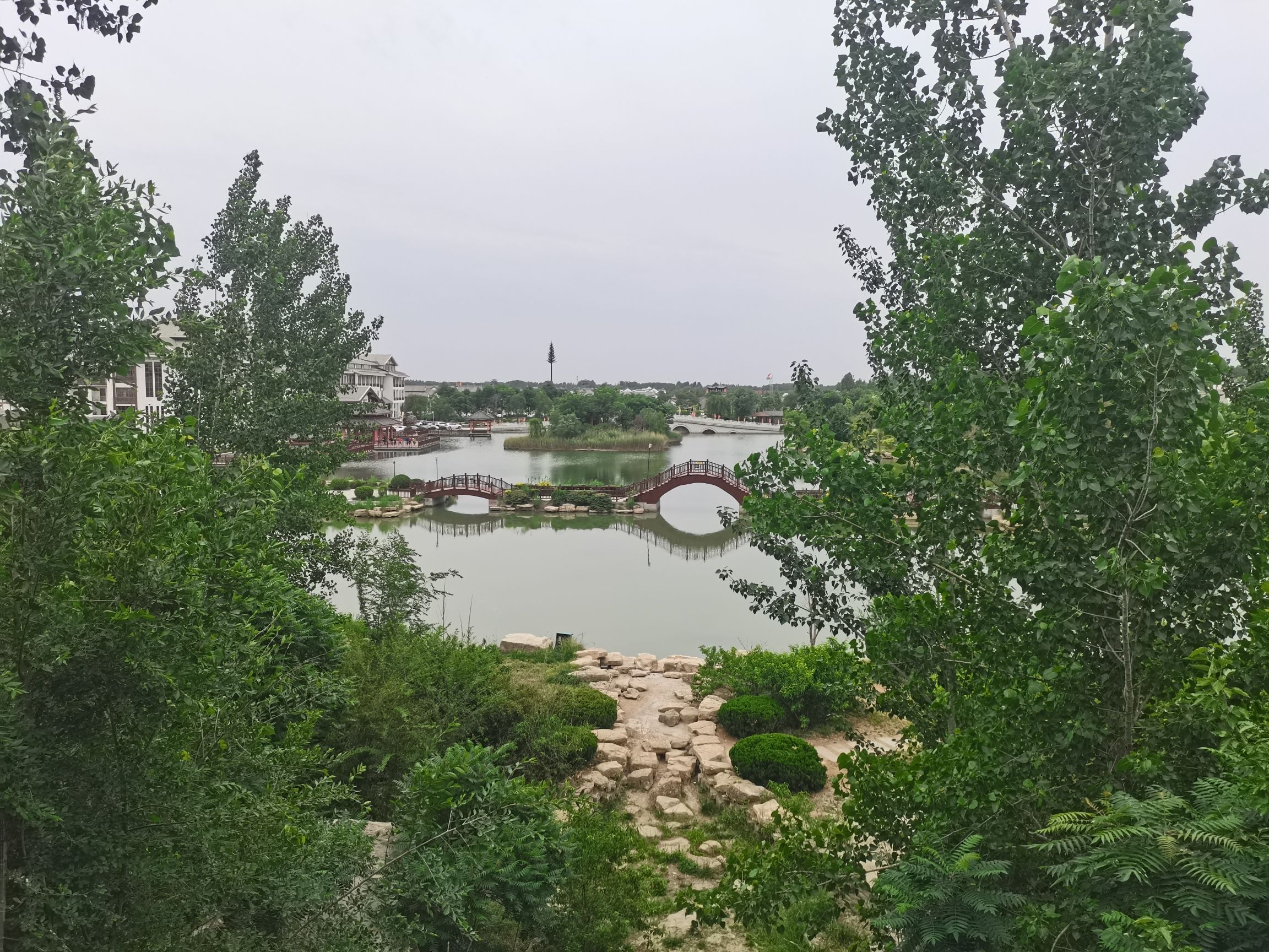 夏津黄河故道森林公园旅行图片 3