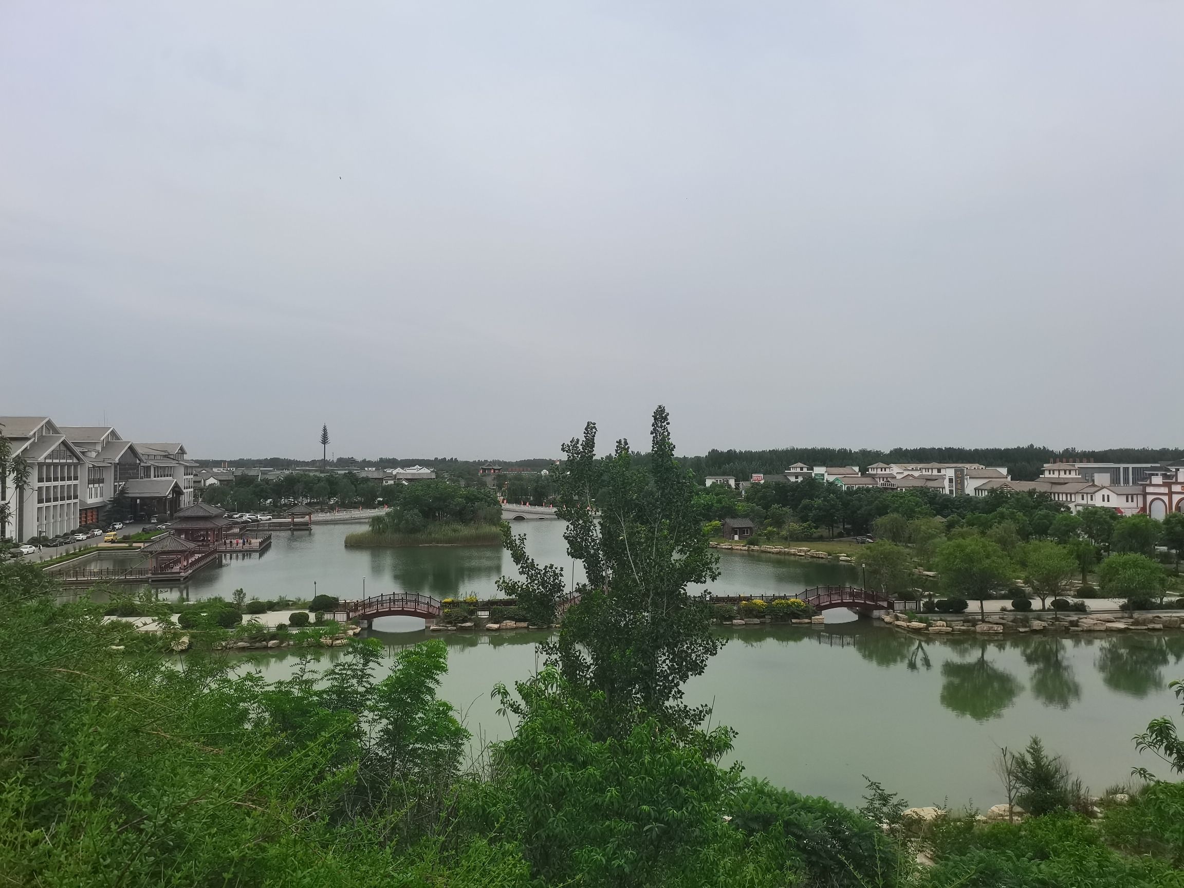 夏津黄河故道森林公园旅行图片 2