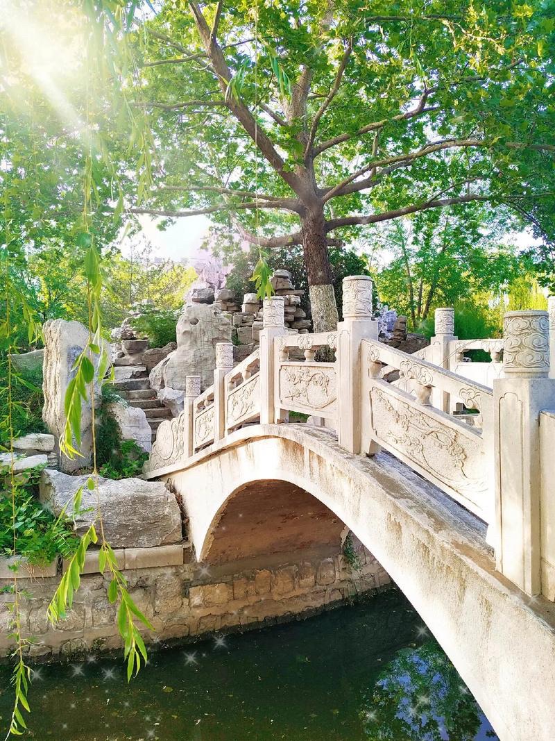 人民公园旅行图片 3