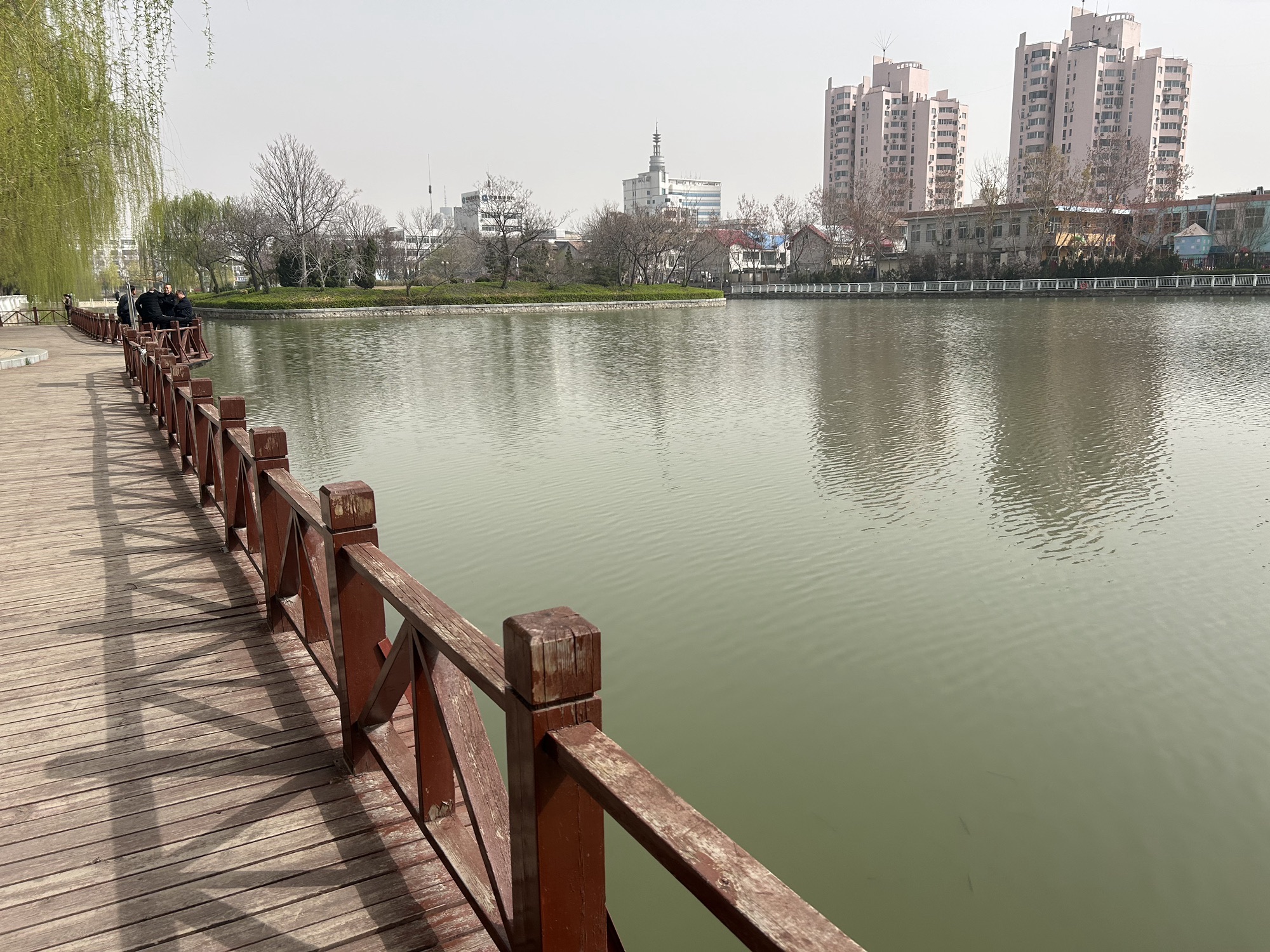 人民公园旅行图片 3