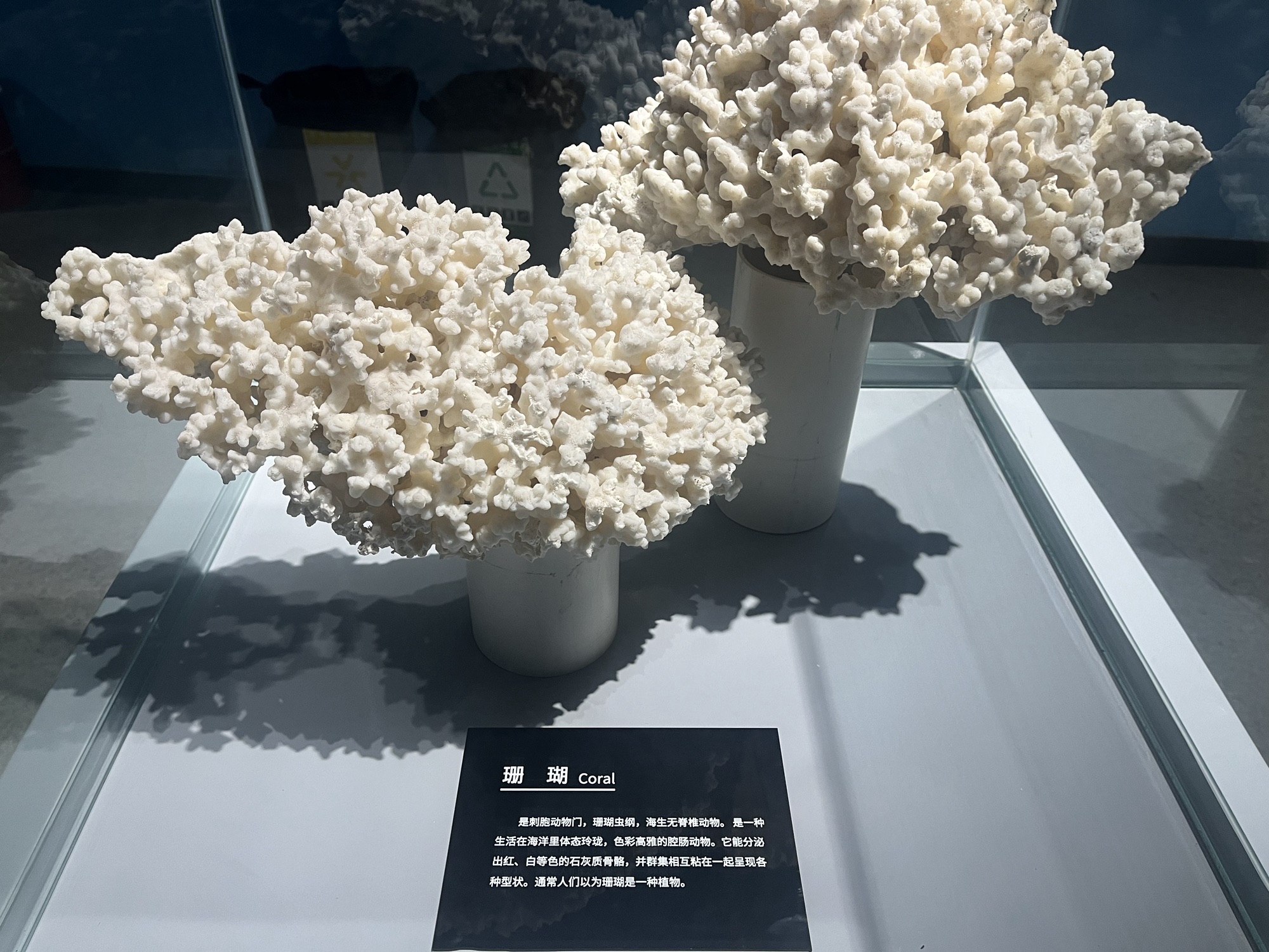 泉城欧乐堡海洋极地世界旅行图片 2
