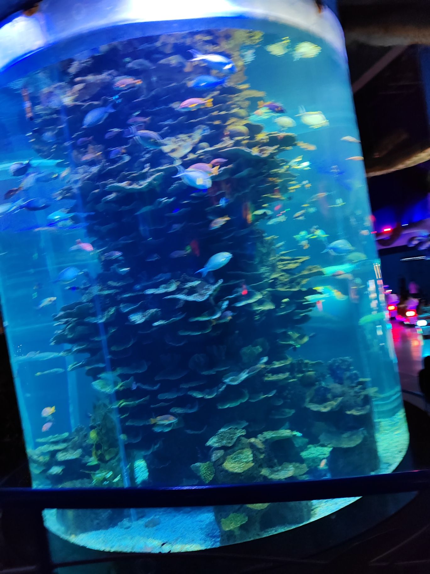 泉城欧乐堡海洋极地世界旅行图片 3