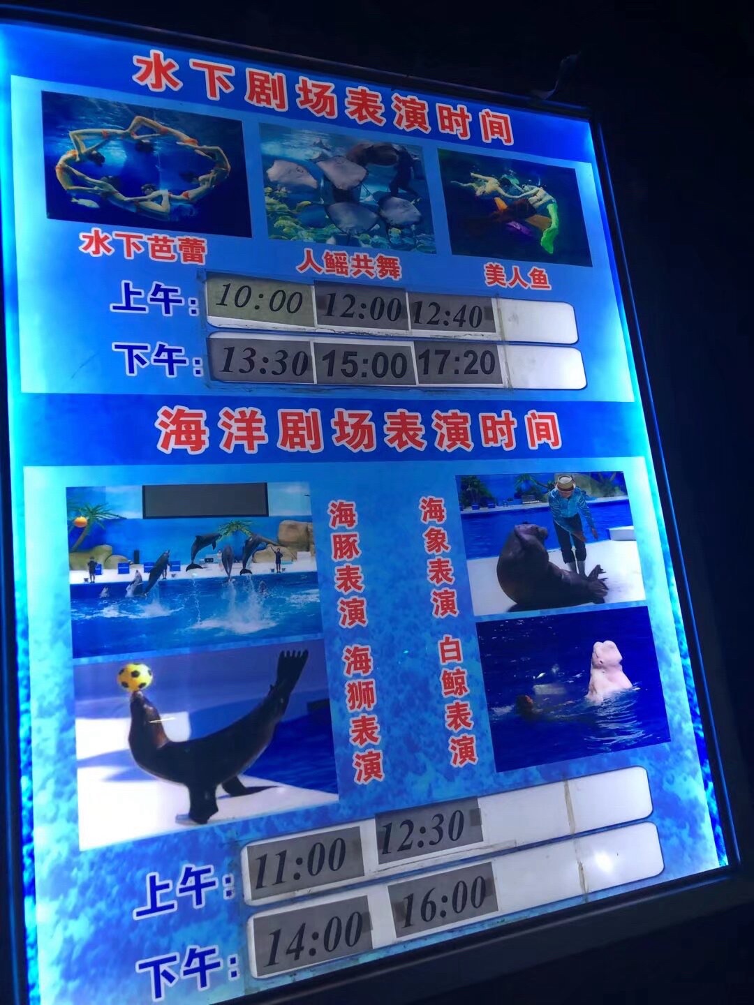 泉城欧乐堡海洋极地世界旅行图片 3