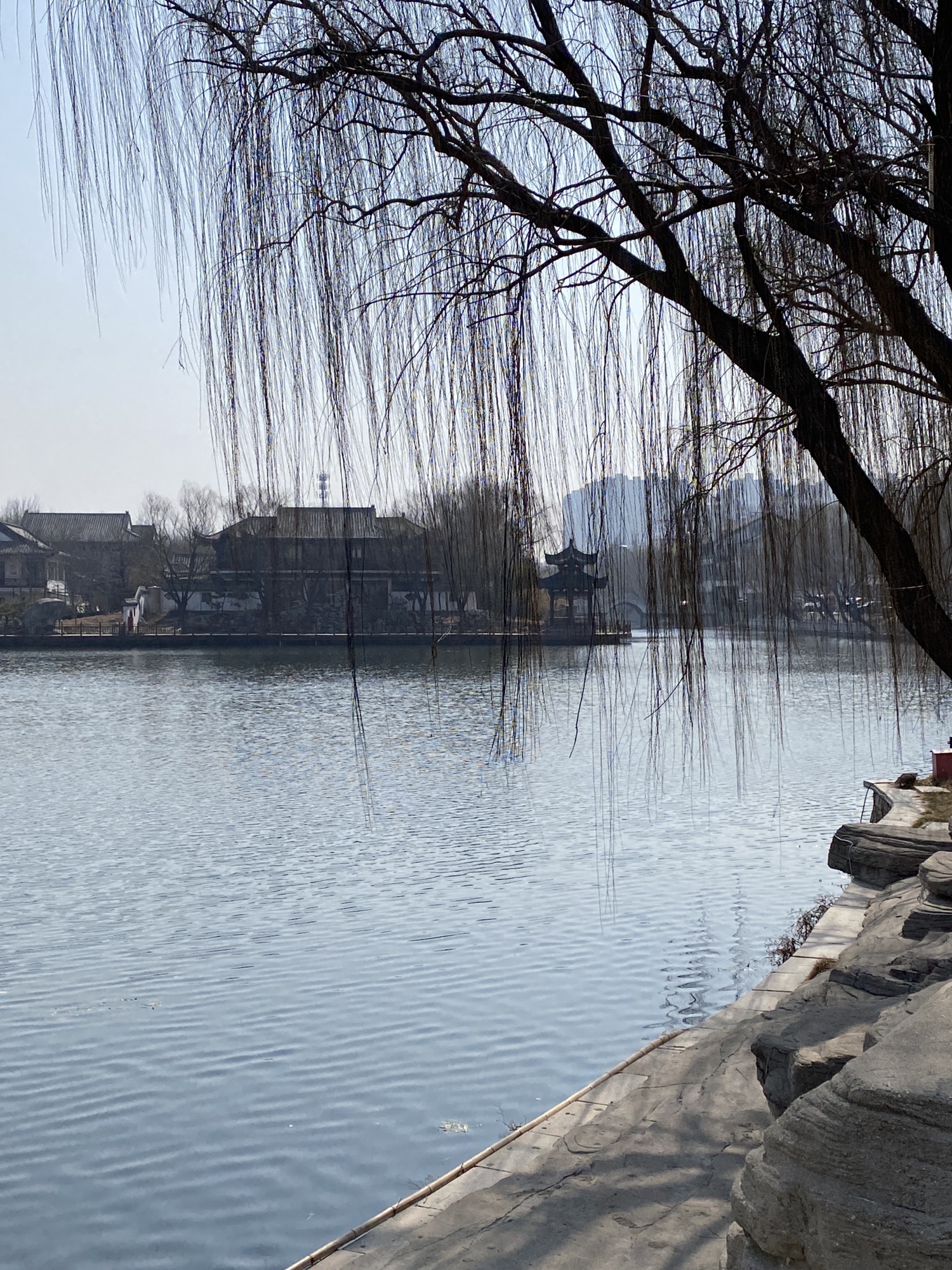 董子园风景区旅行图片 2