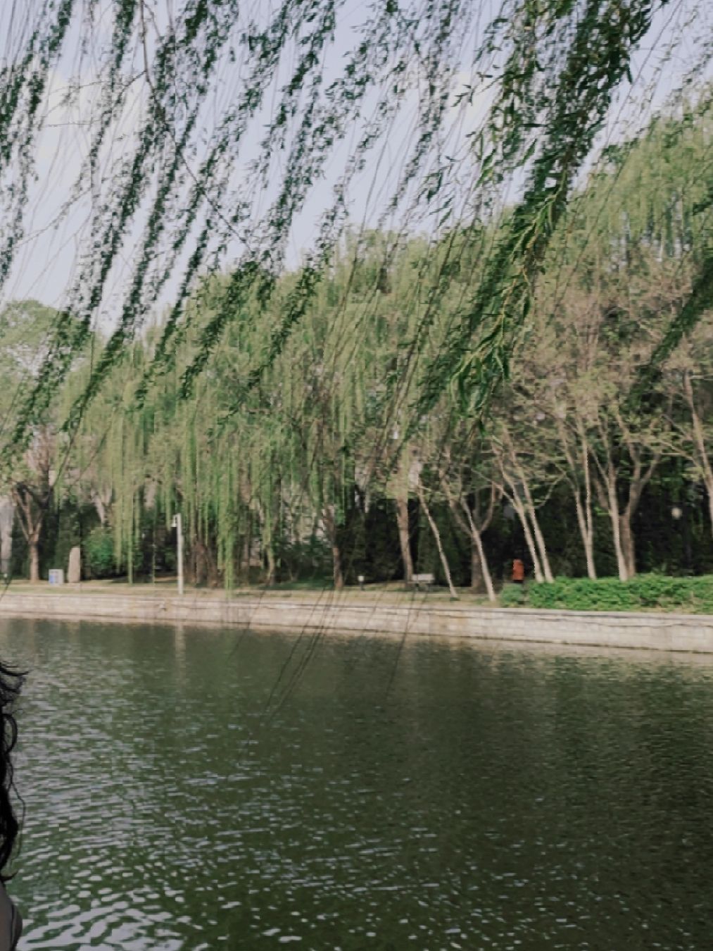 董子园风景区旅行图片 3