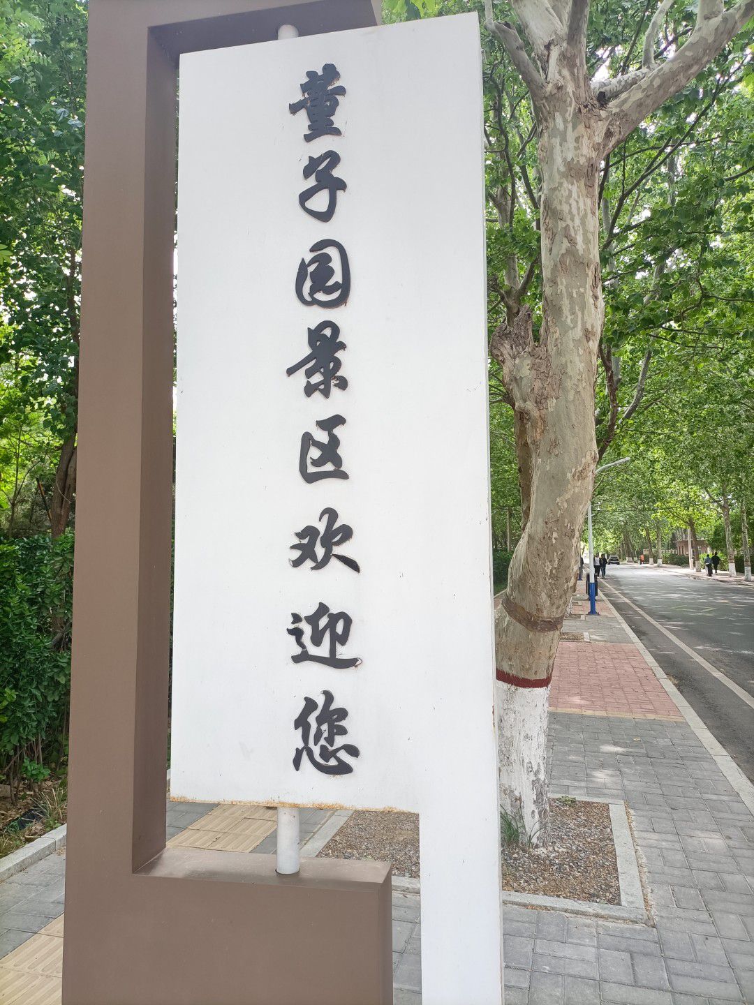 董子园风景区旅行图片 1