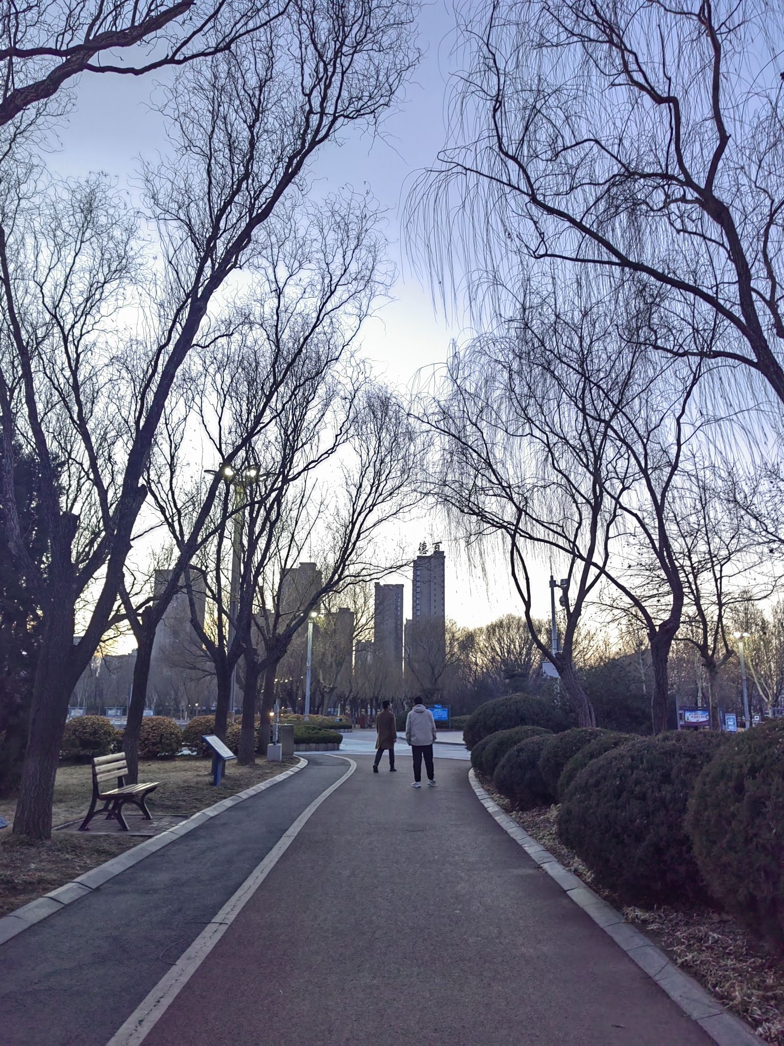 沁园旅行图片 3