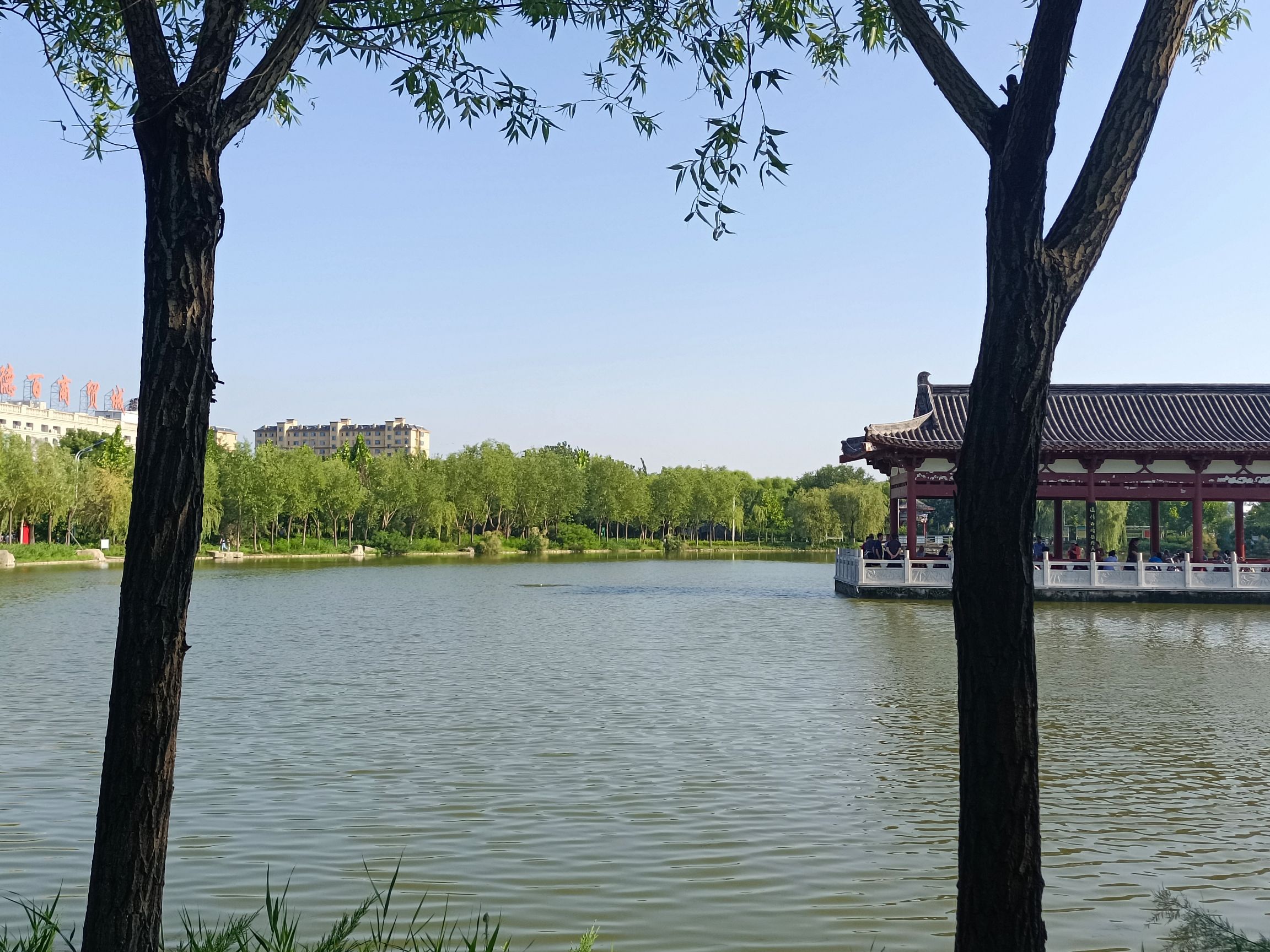 会盟公园旅行图片 1