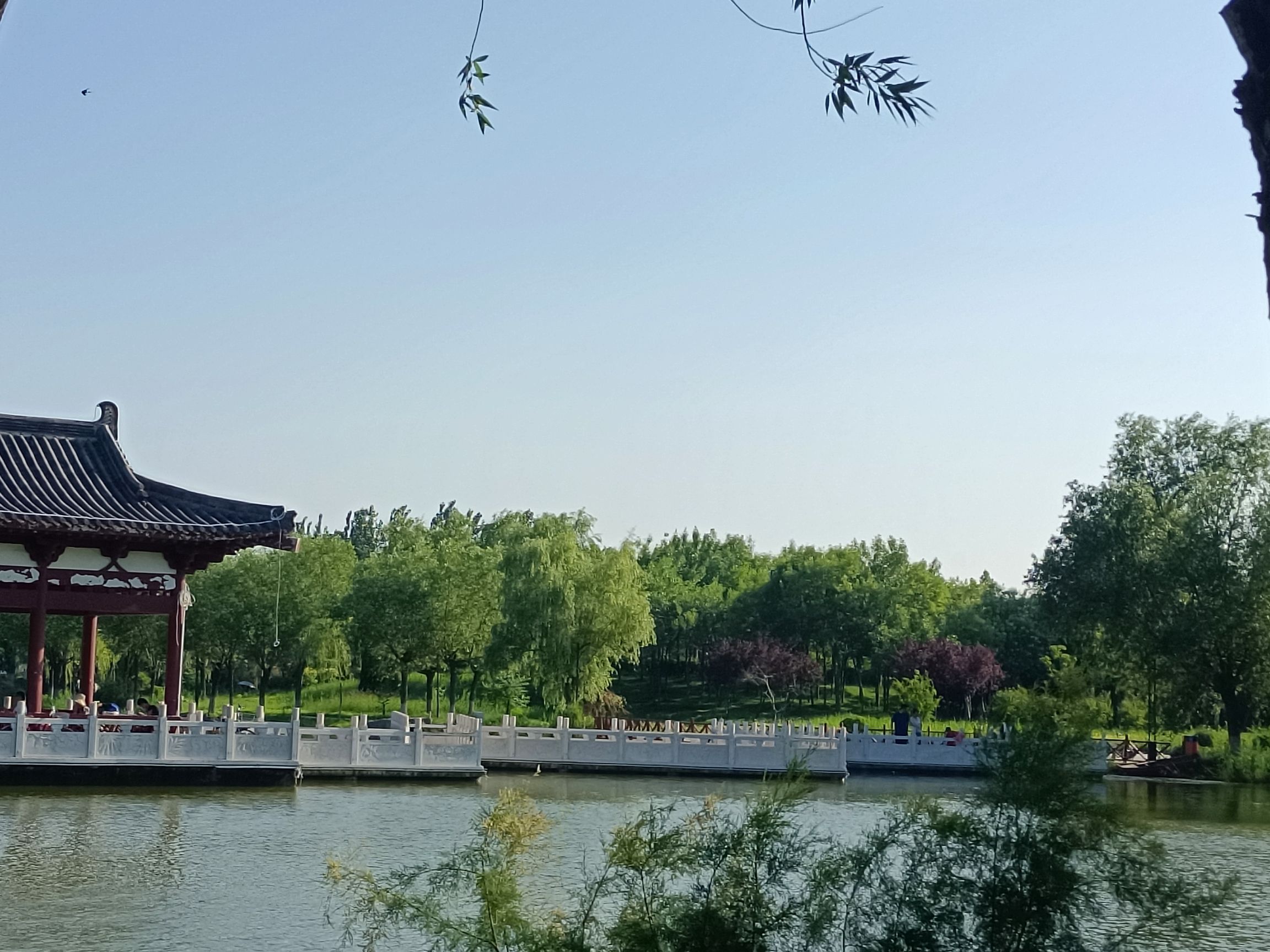 会盟公园旅行图片 2