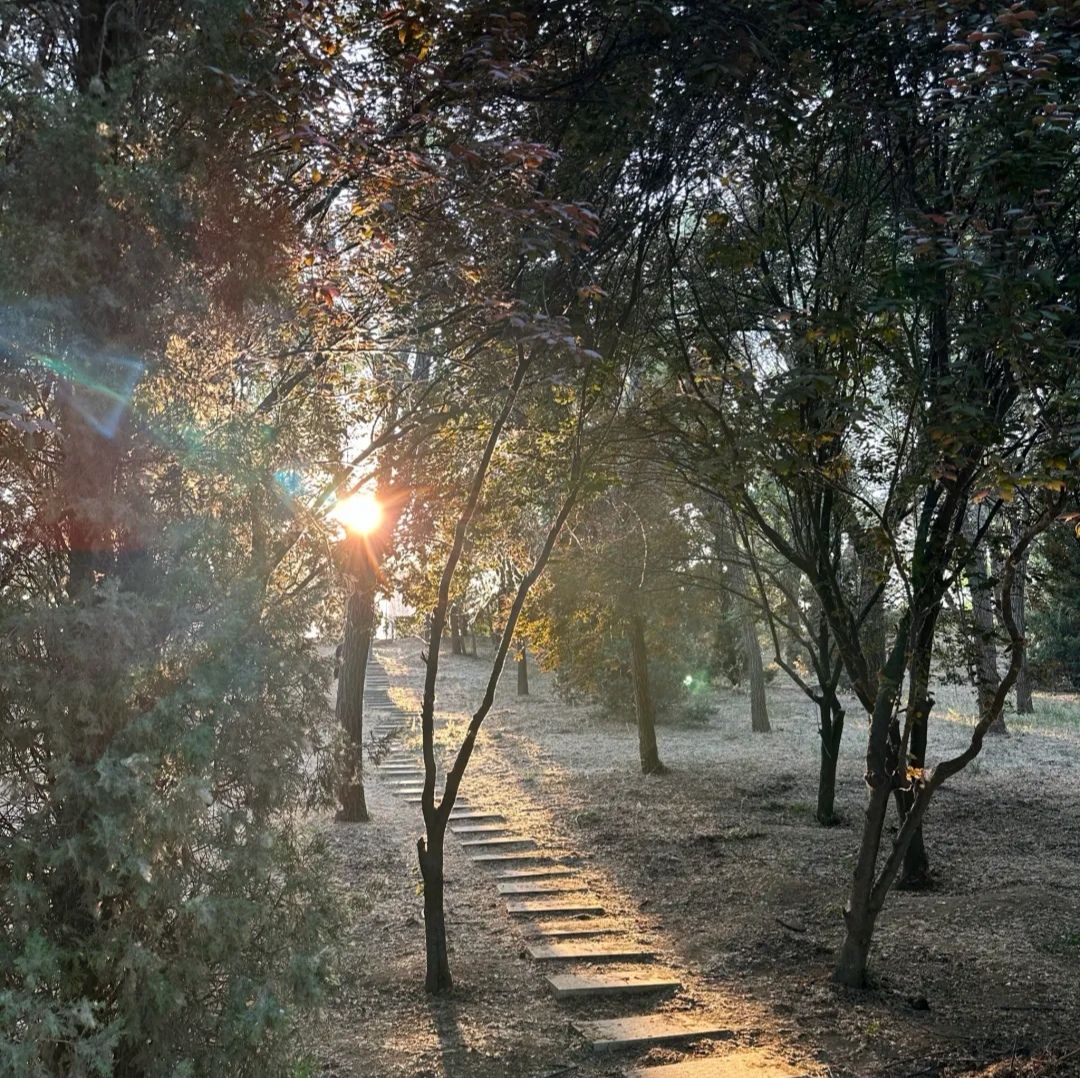 减河湿地风景区旅行图片 3