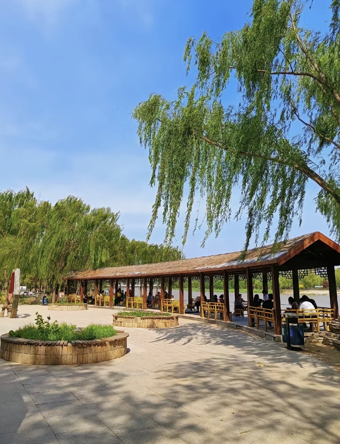 减河湿地风景区旅行图片 1