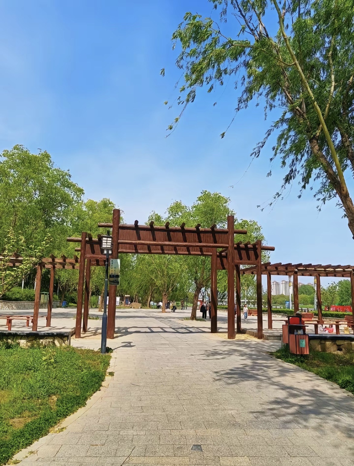 减河湿地风景区旅行图片 2
