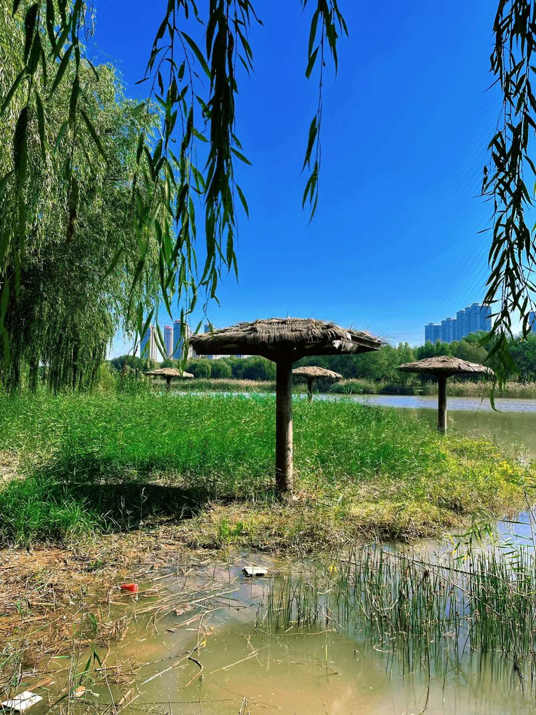 减河湿地风景区旅行图片 1