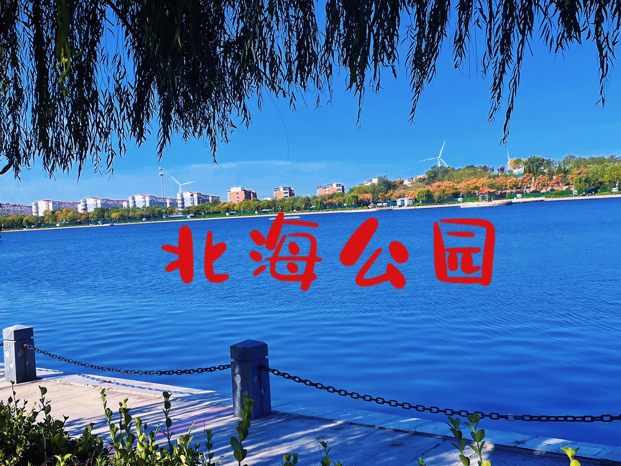 北海公园旅行图片 1