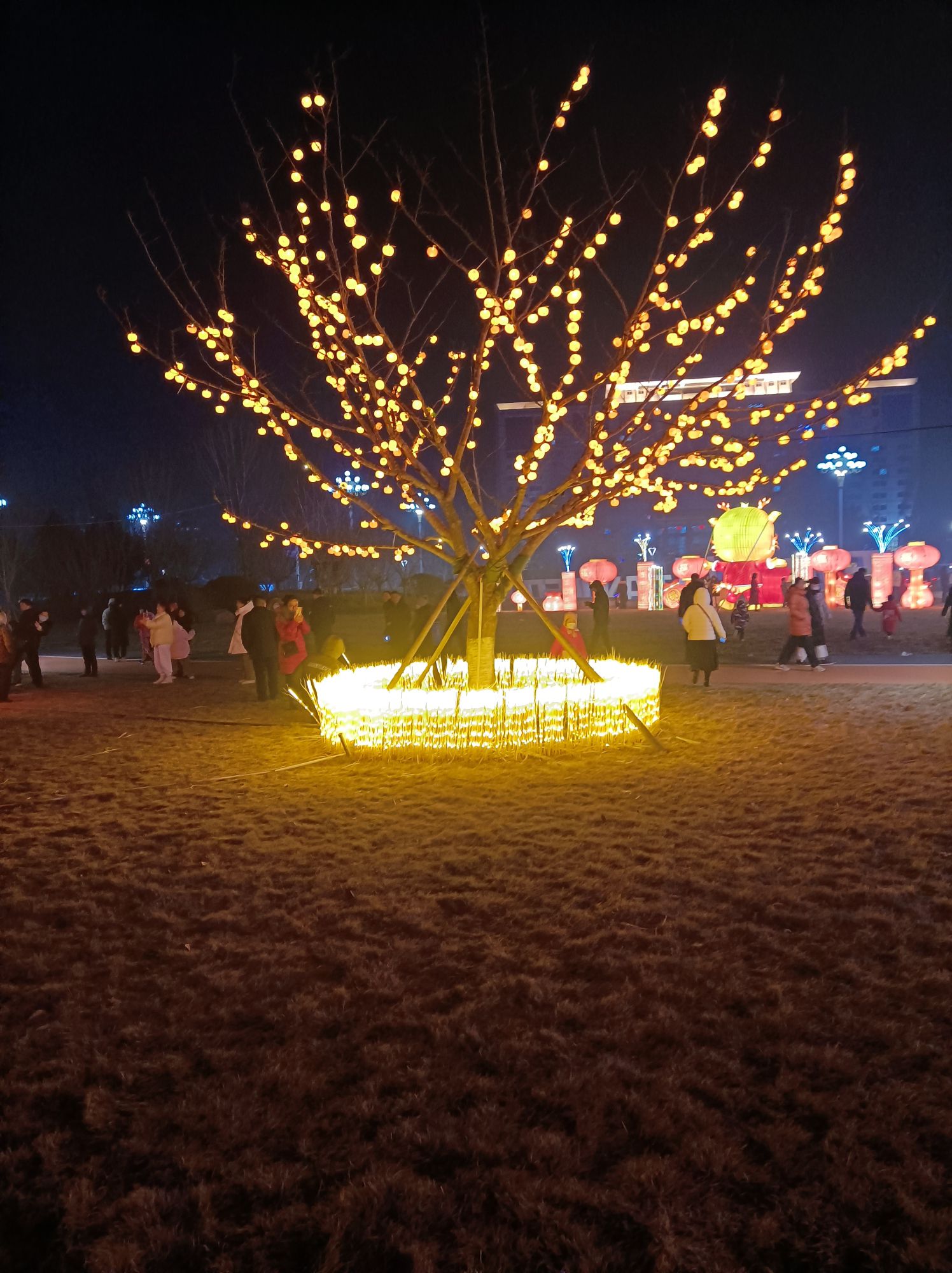 天地广场旅行图片 1