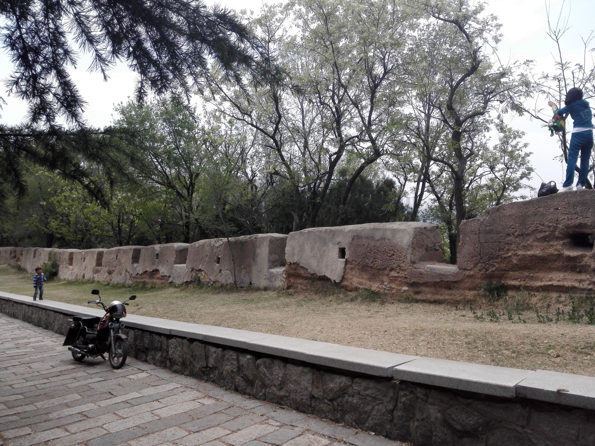 西炮台国防公园旅行图片 3