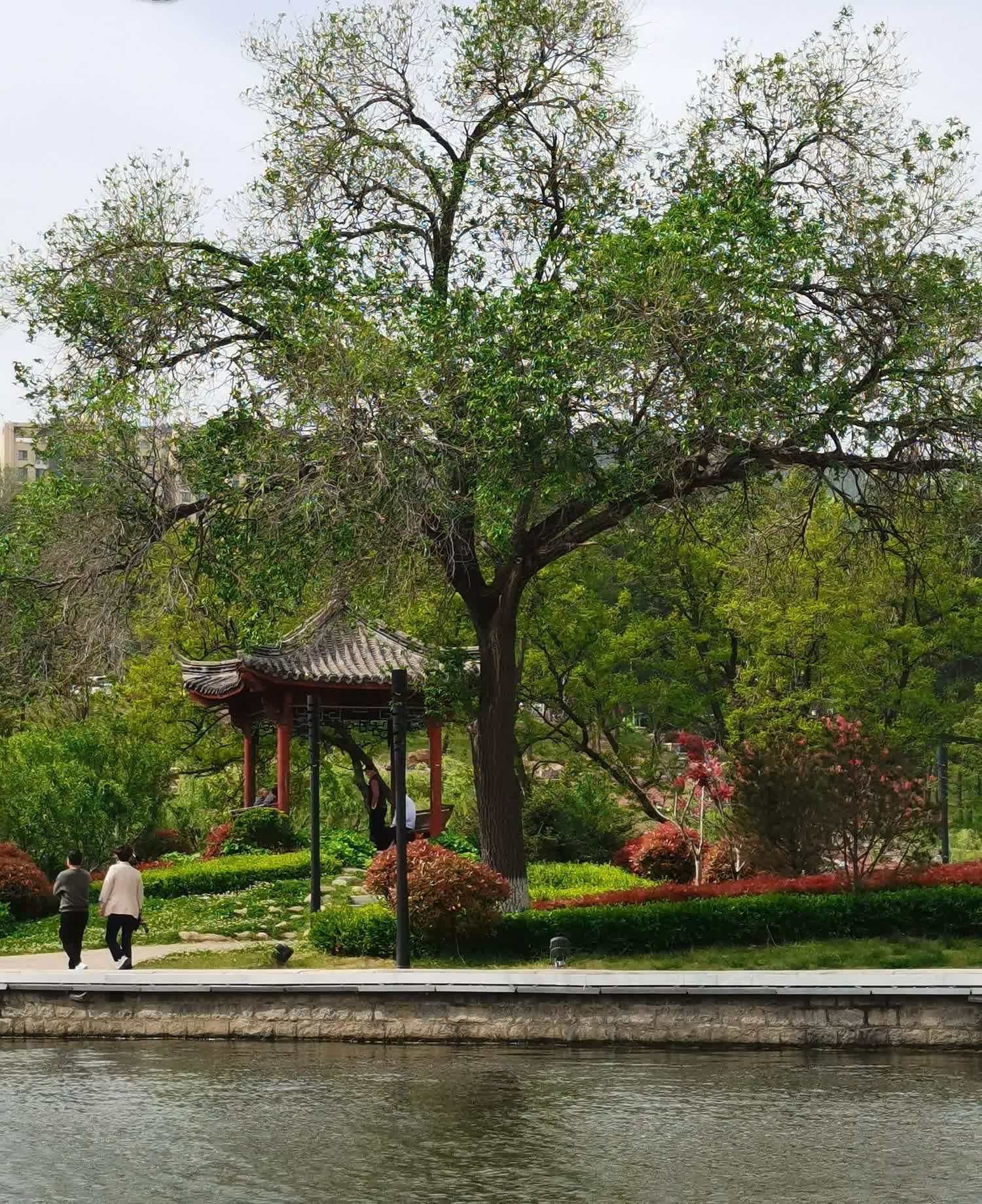 南山公园旅行图片 1