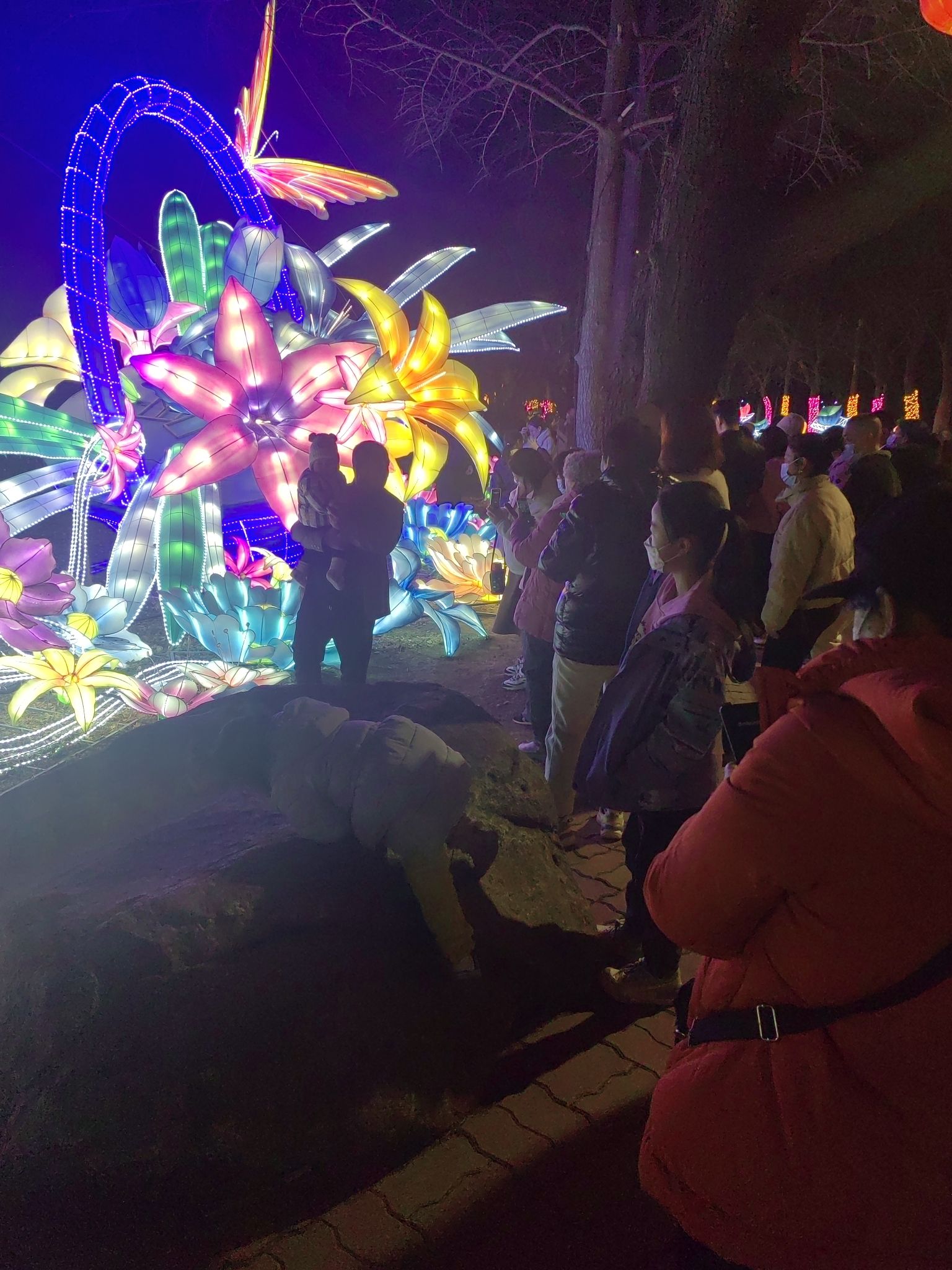 南山公园旅行图片 3