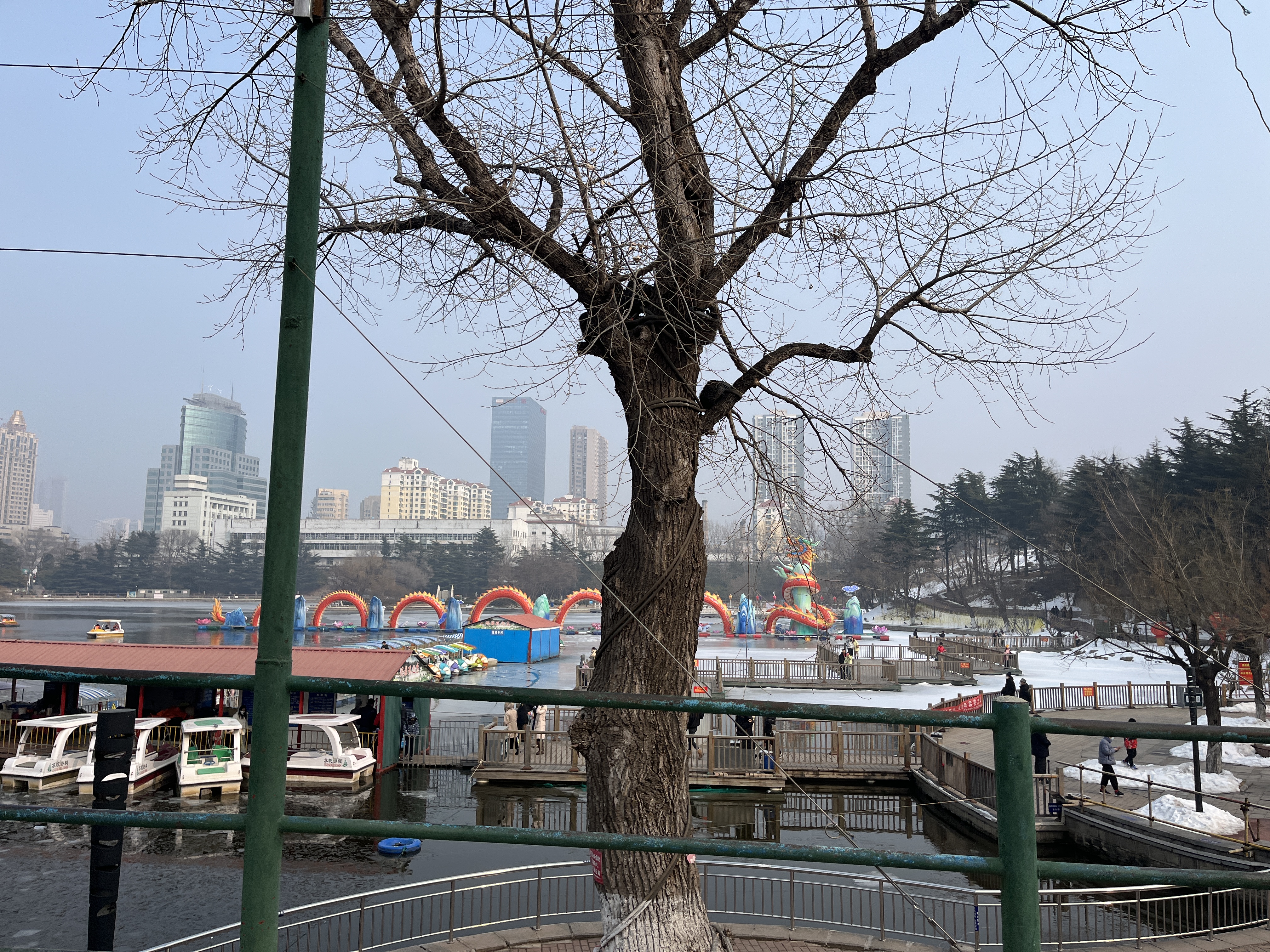 南山公园旅行图片 1