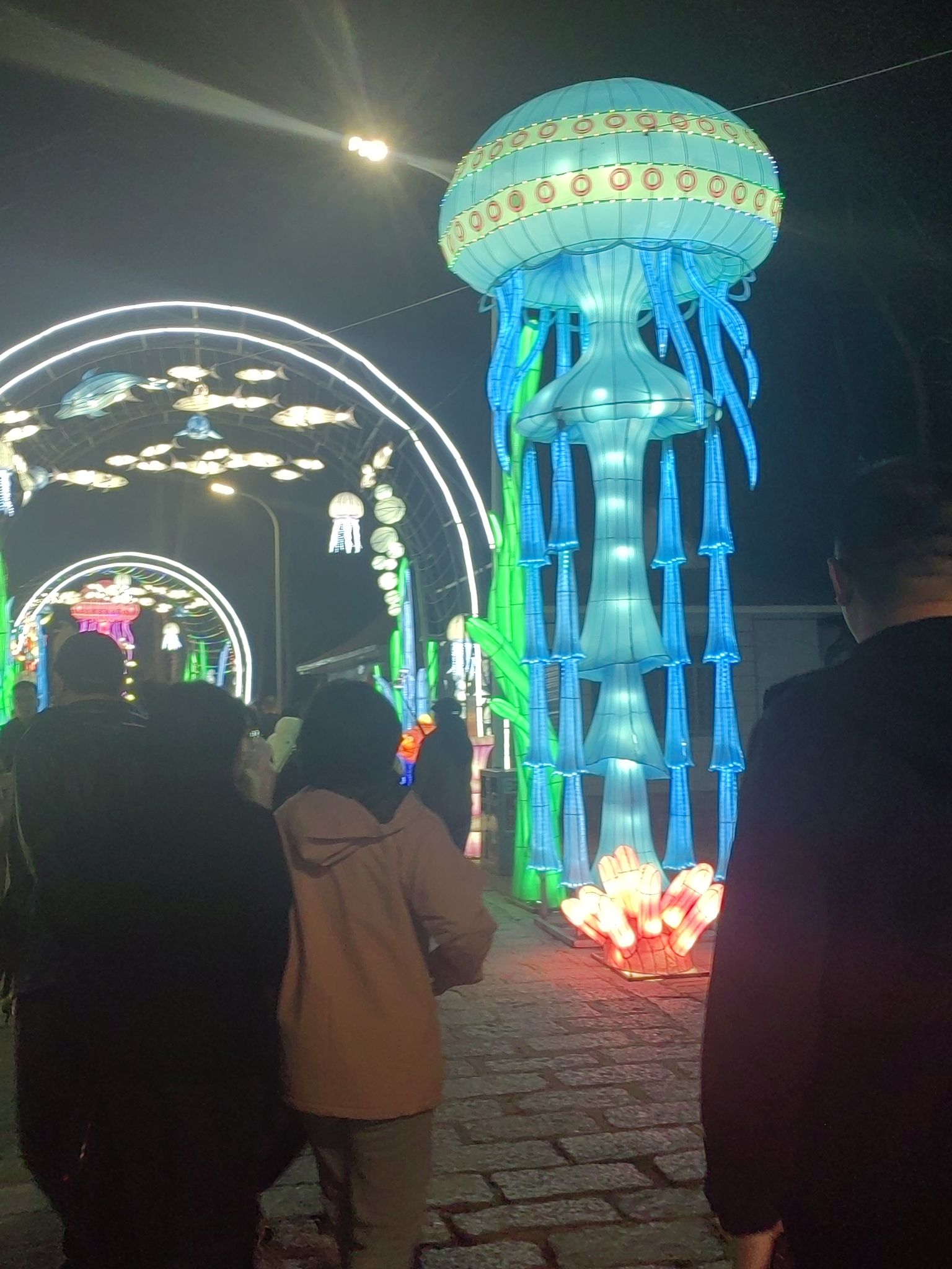 南山公园旅行图片 2