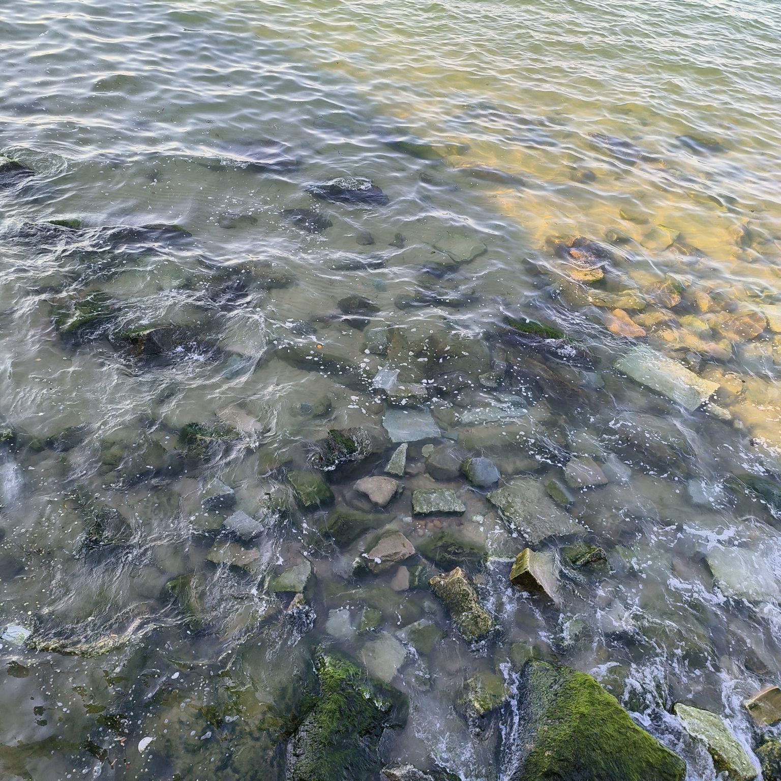 海韵广场旅行图片 2