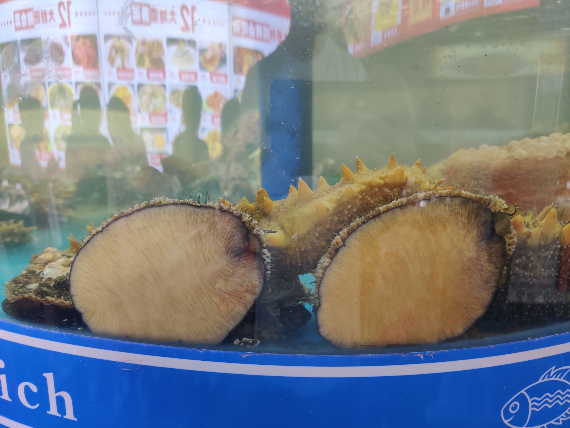 海韵广场旅行图片 2