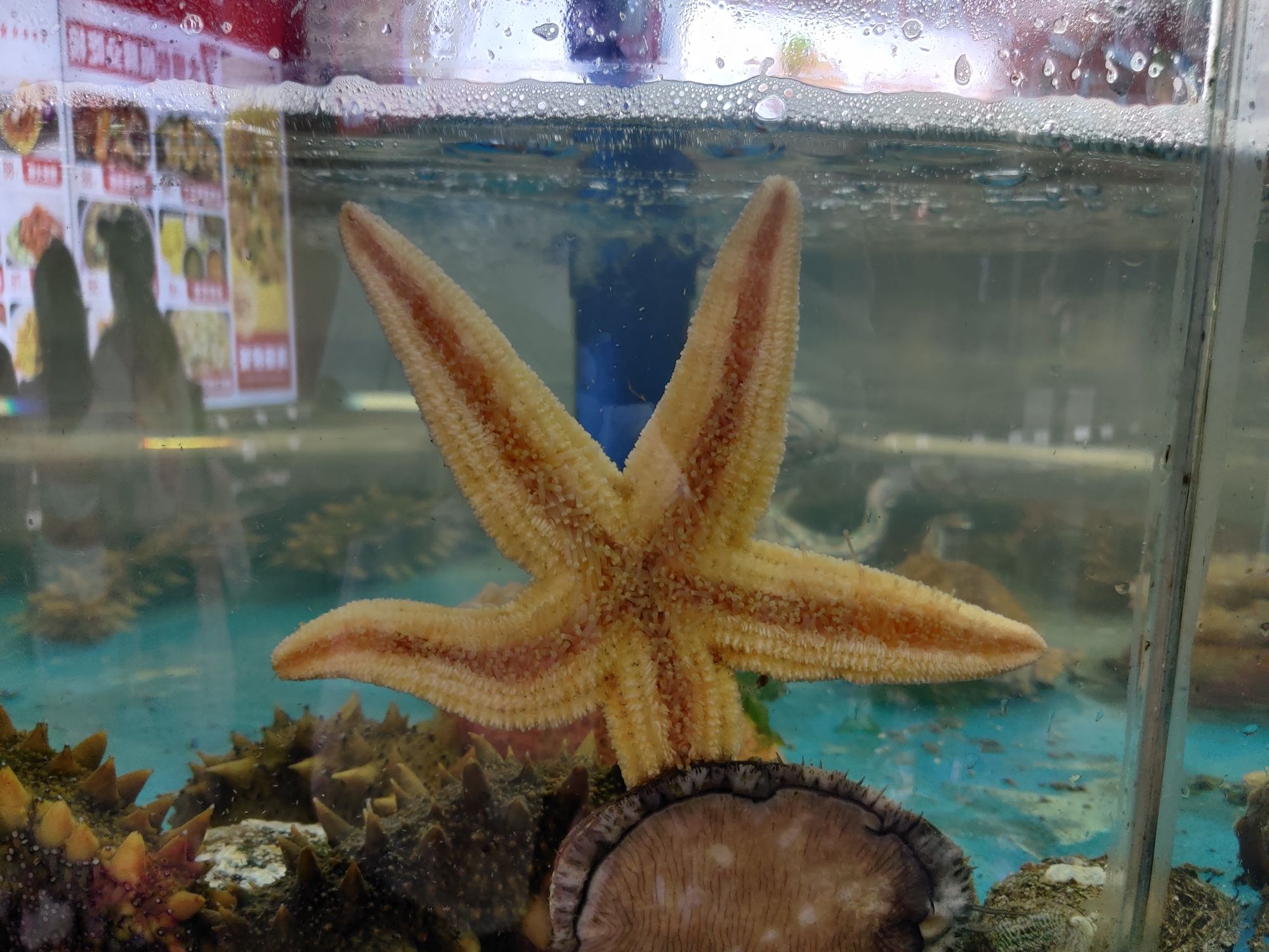 海韵广场旅行图片 3