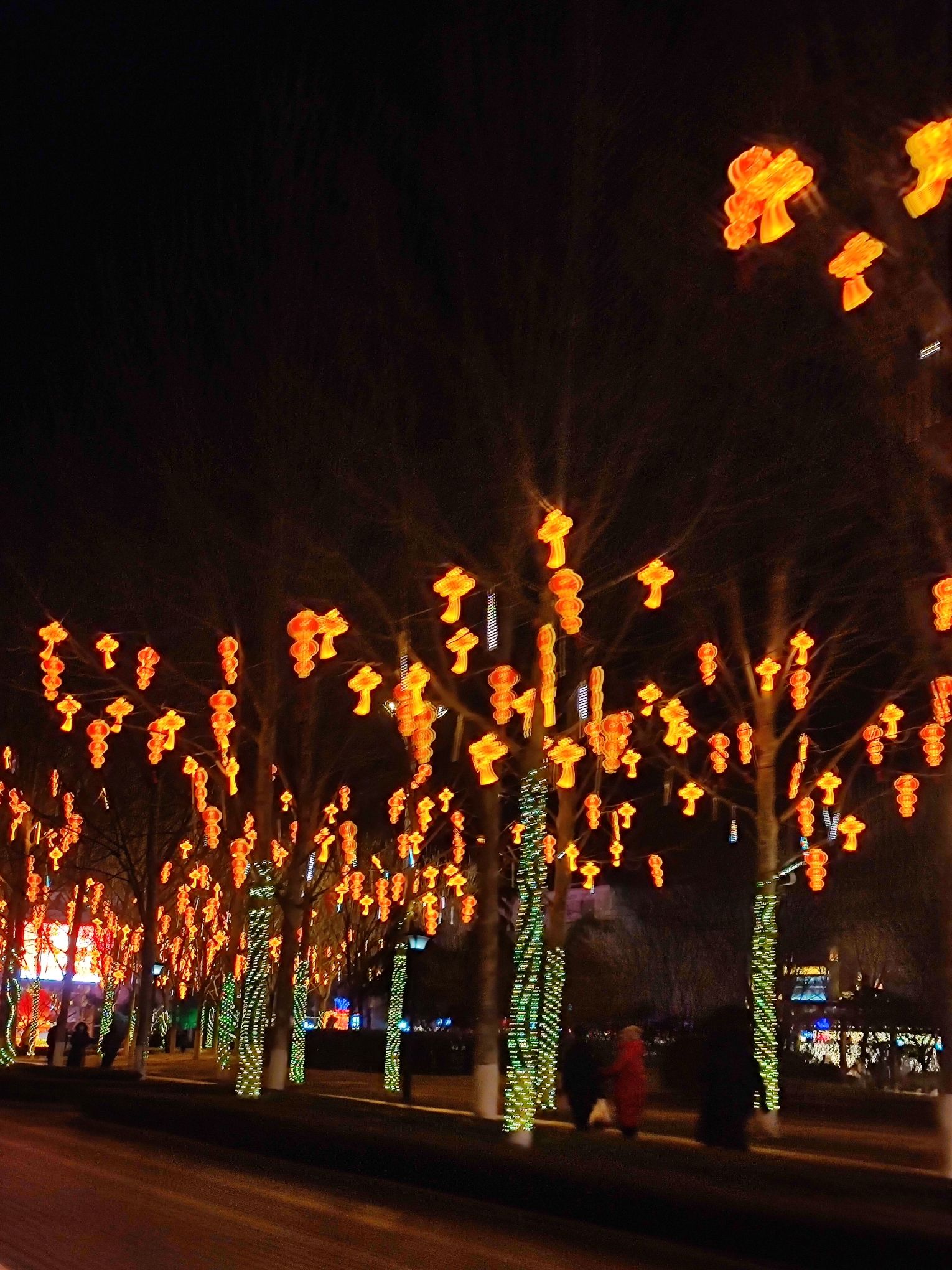 府前广场旅行图片 3