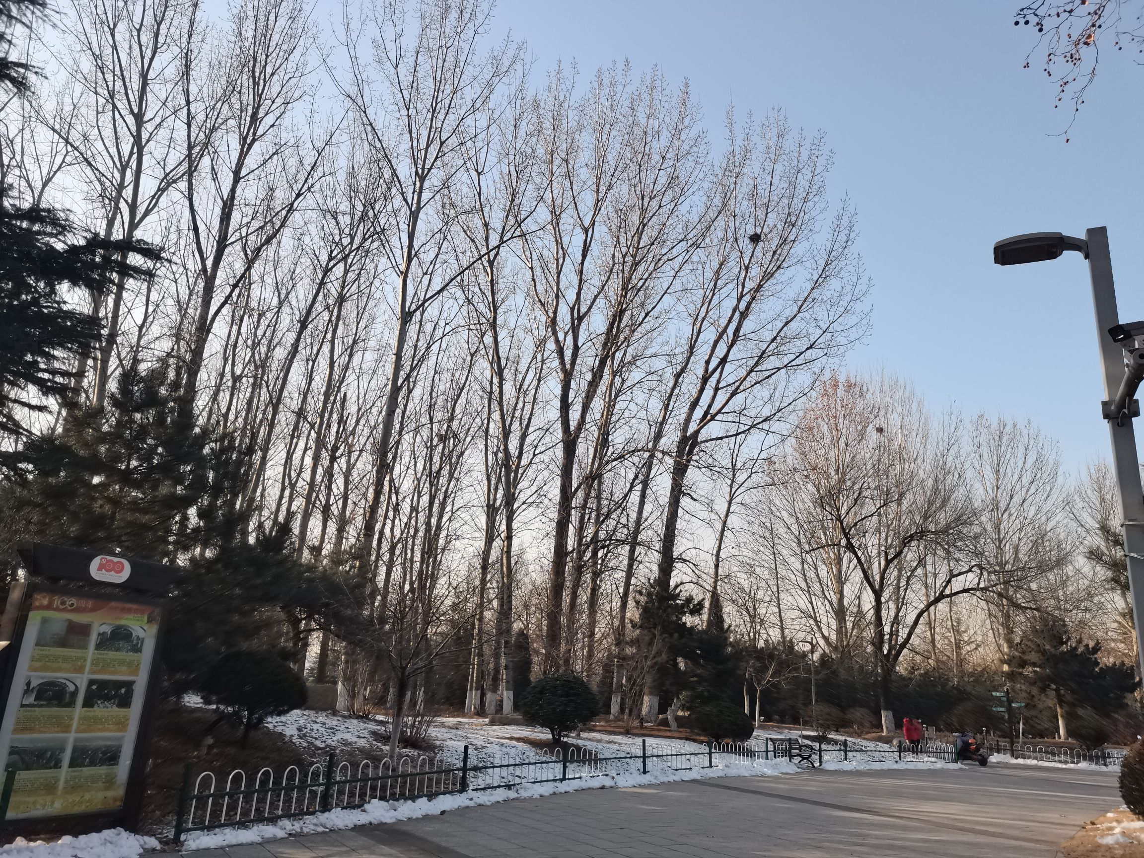 蚬河公园旅行图片 2