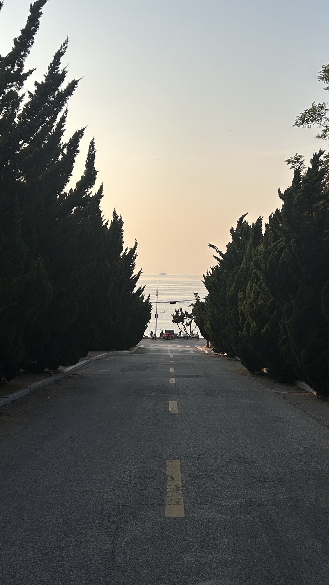 养马岛旅行图片 2