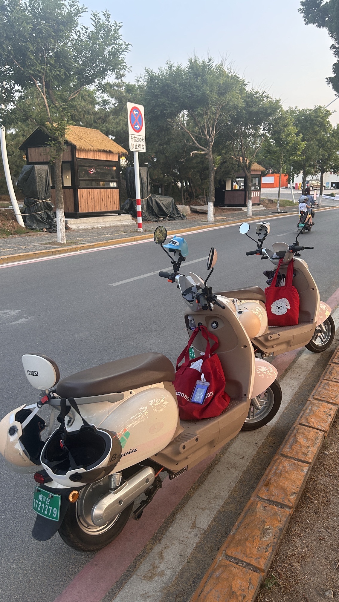 养马岛旅行图片 1