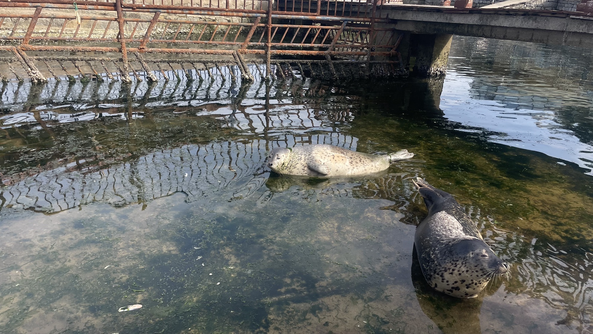 东炮台公园旅行图片 1