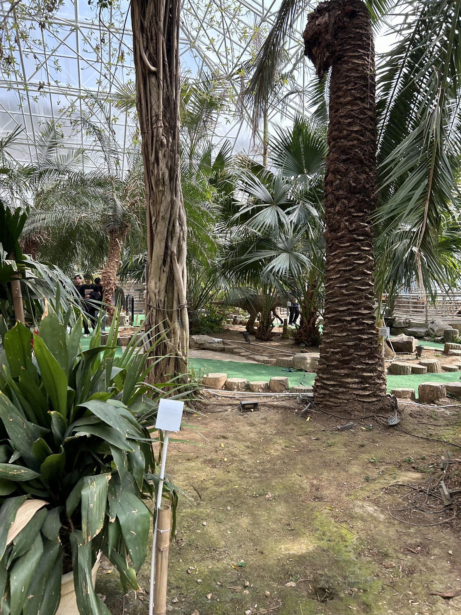 塔山旅游风景区旅行图片 2