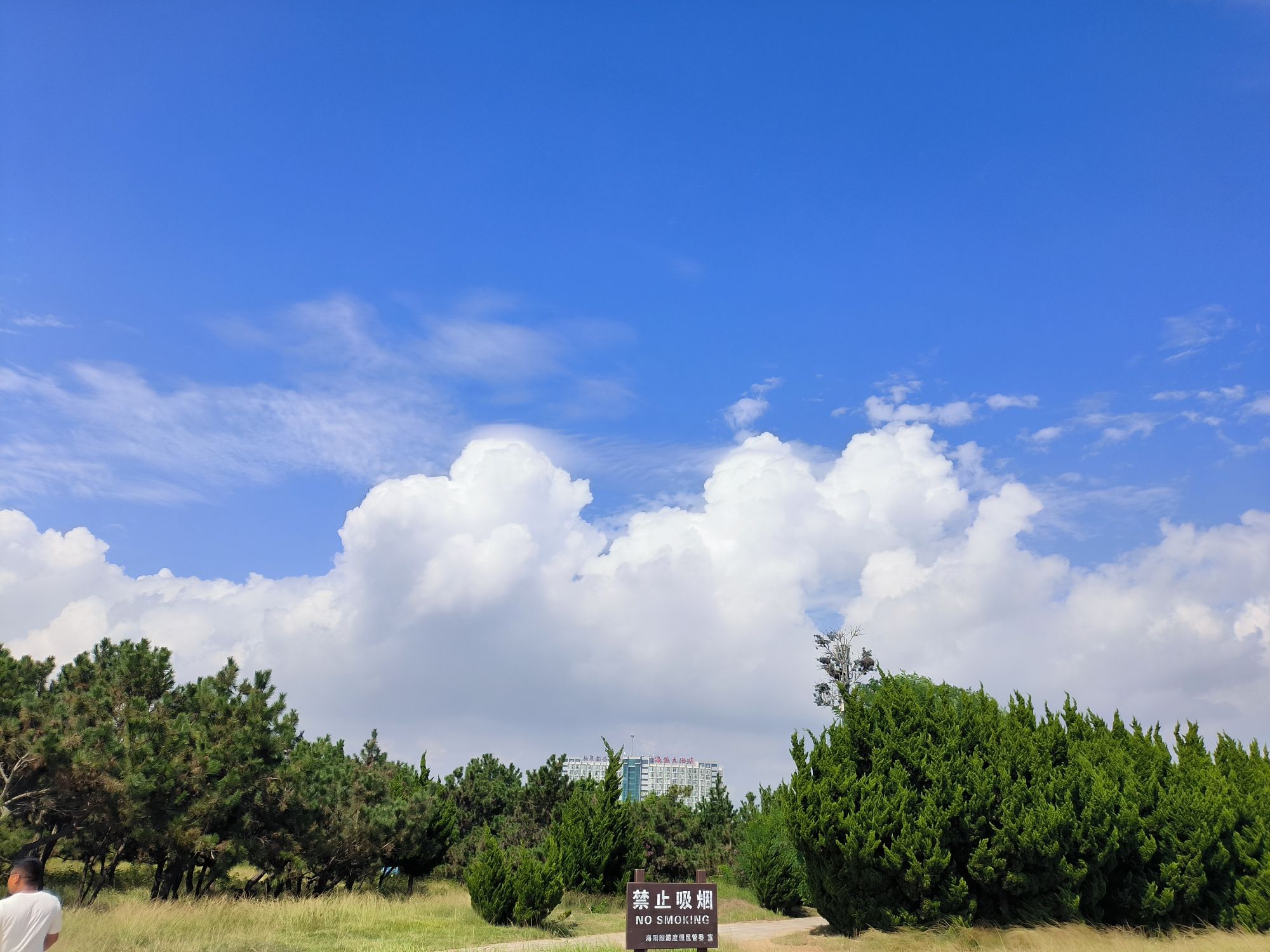 凤城万米海滩旅行图片 1