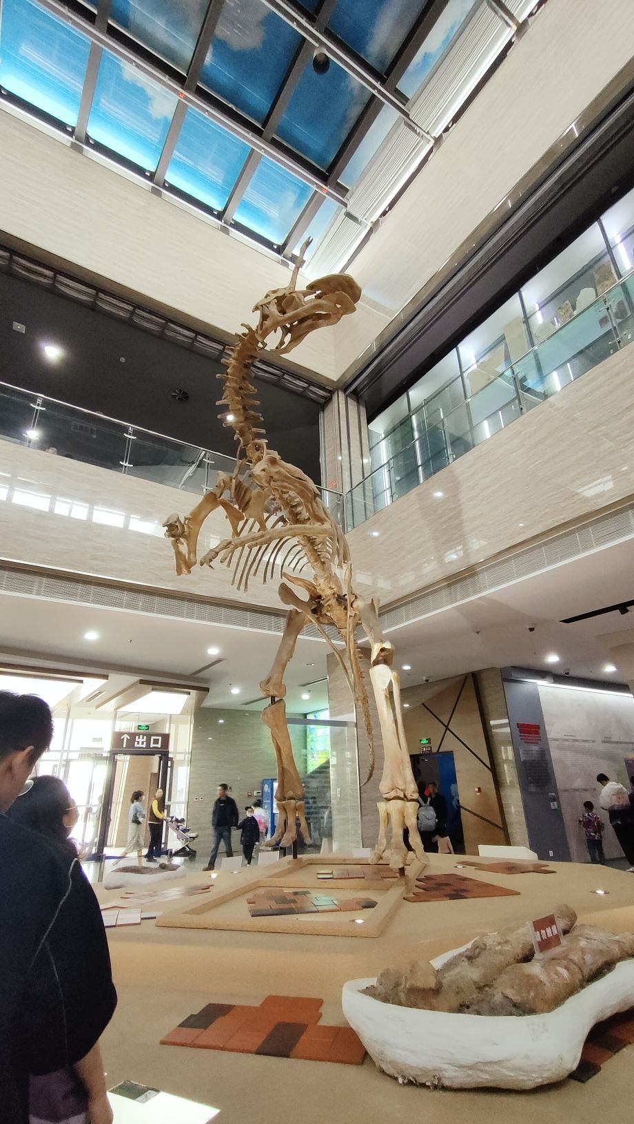 恐龙化石产地旅行图片 3