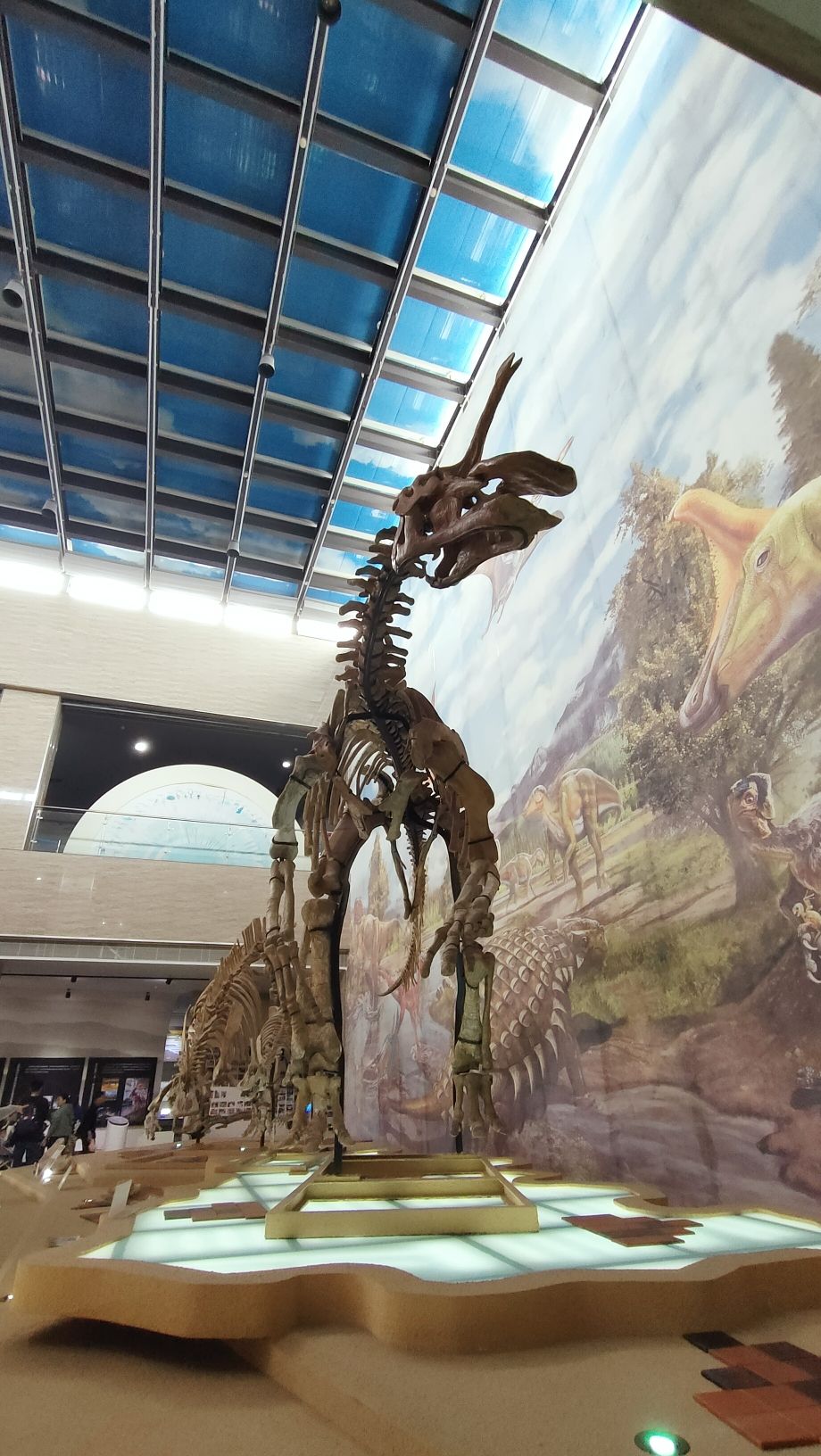 恐龙化石产地旅行图片 2