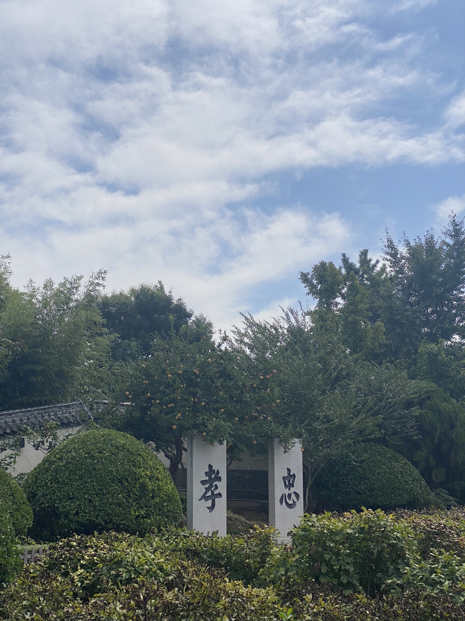 戚继光故里旅行图片 3
