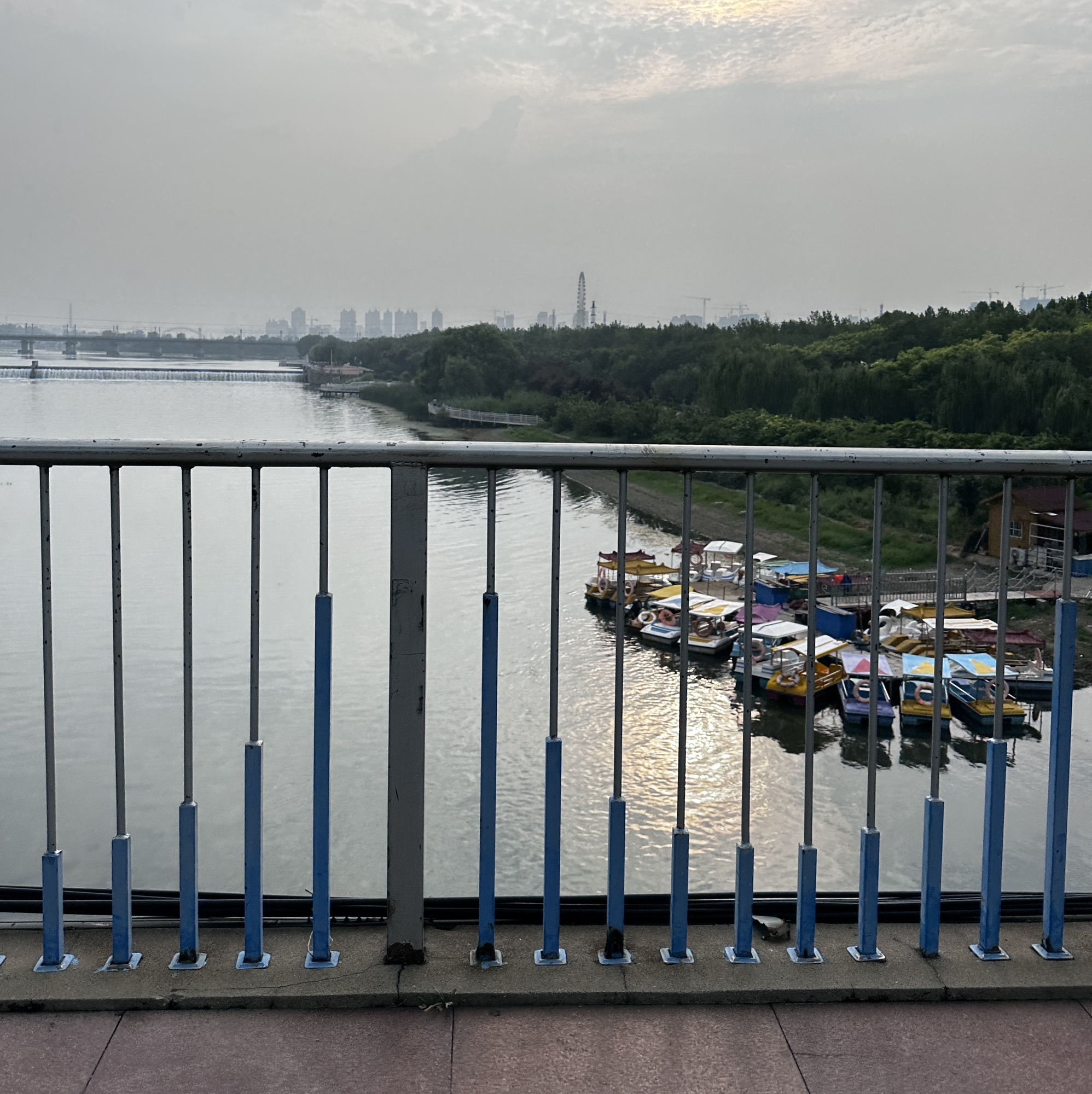 龙口市文化广场旅行图片 1