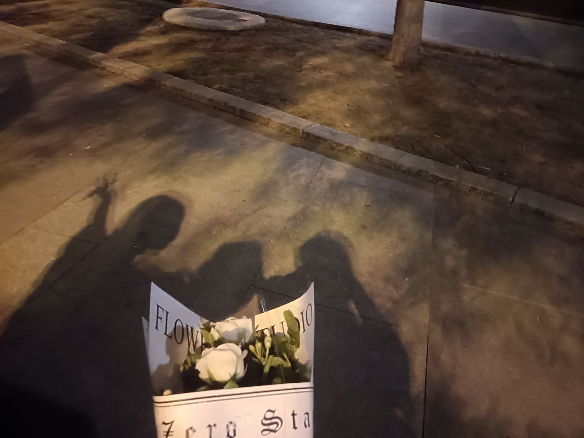 龙口市文化广场旅行图片 1