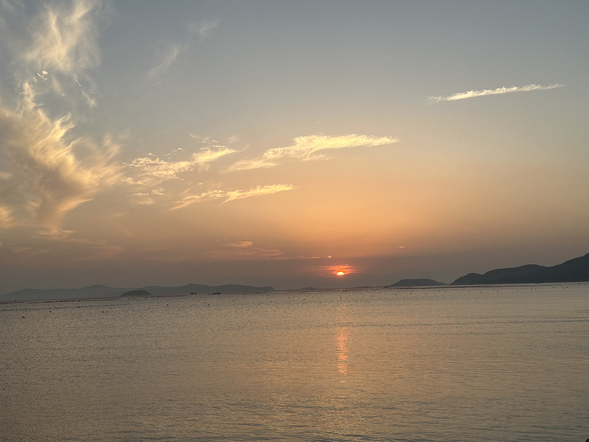 龙口市文化广场旅行图片 3