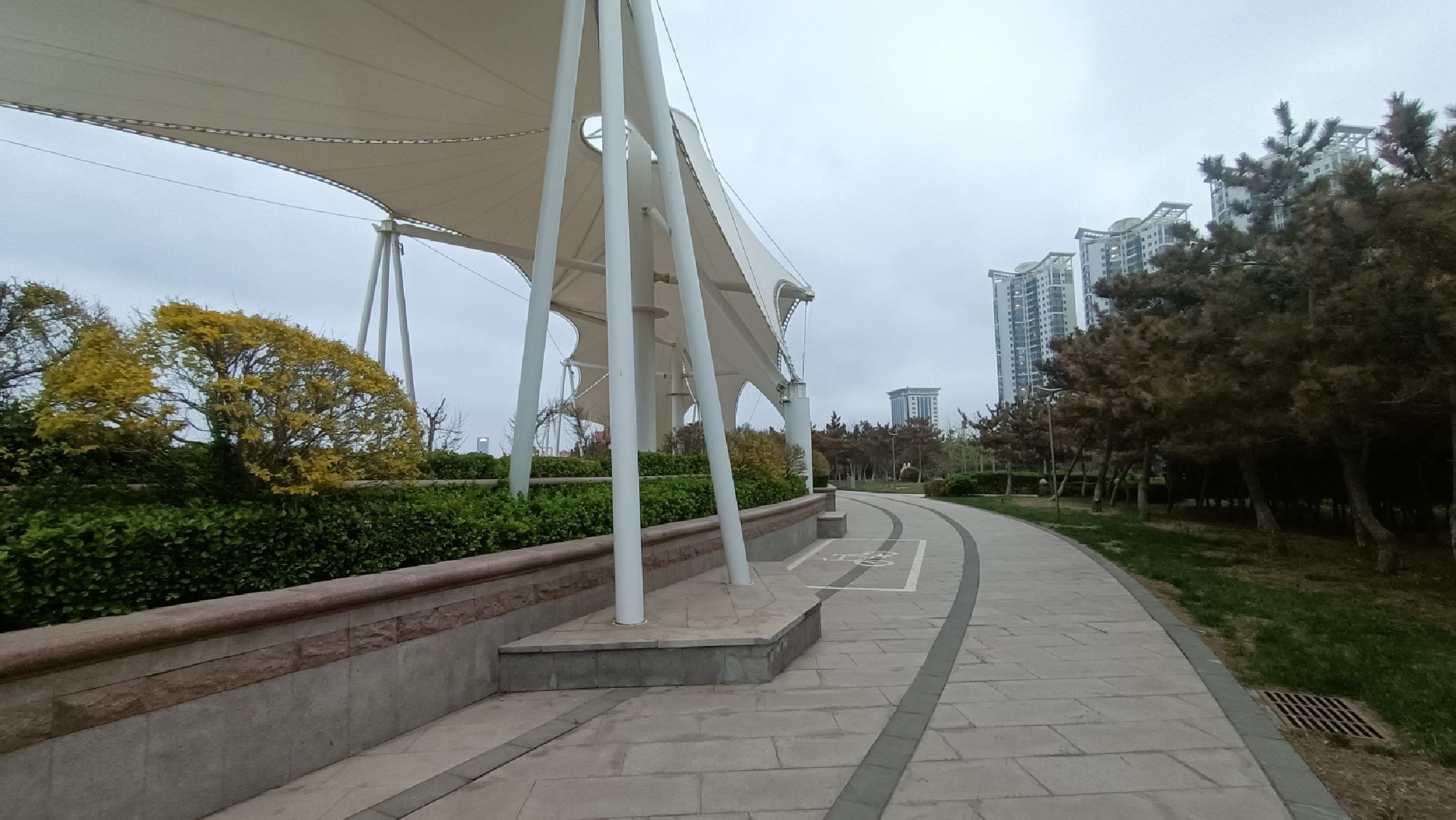 音乐广场旅行图片 2