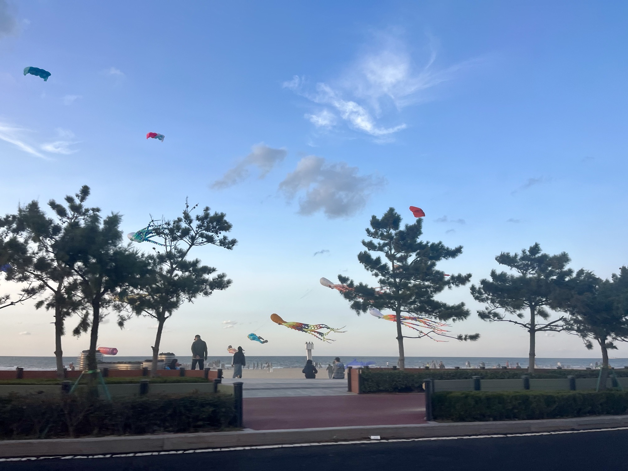 金沙滩旅游度假区旅行图片 2