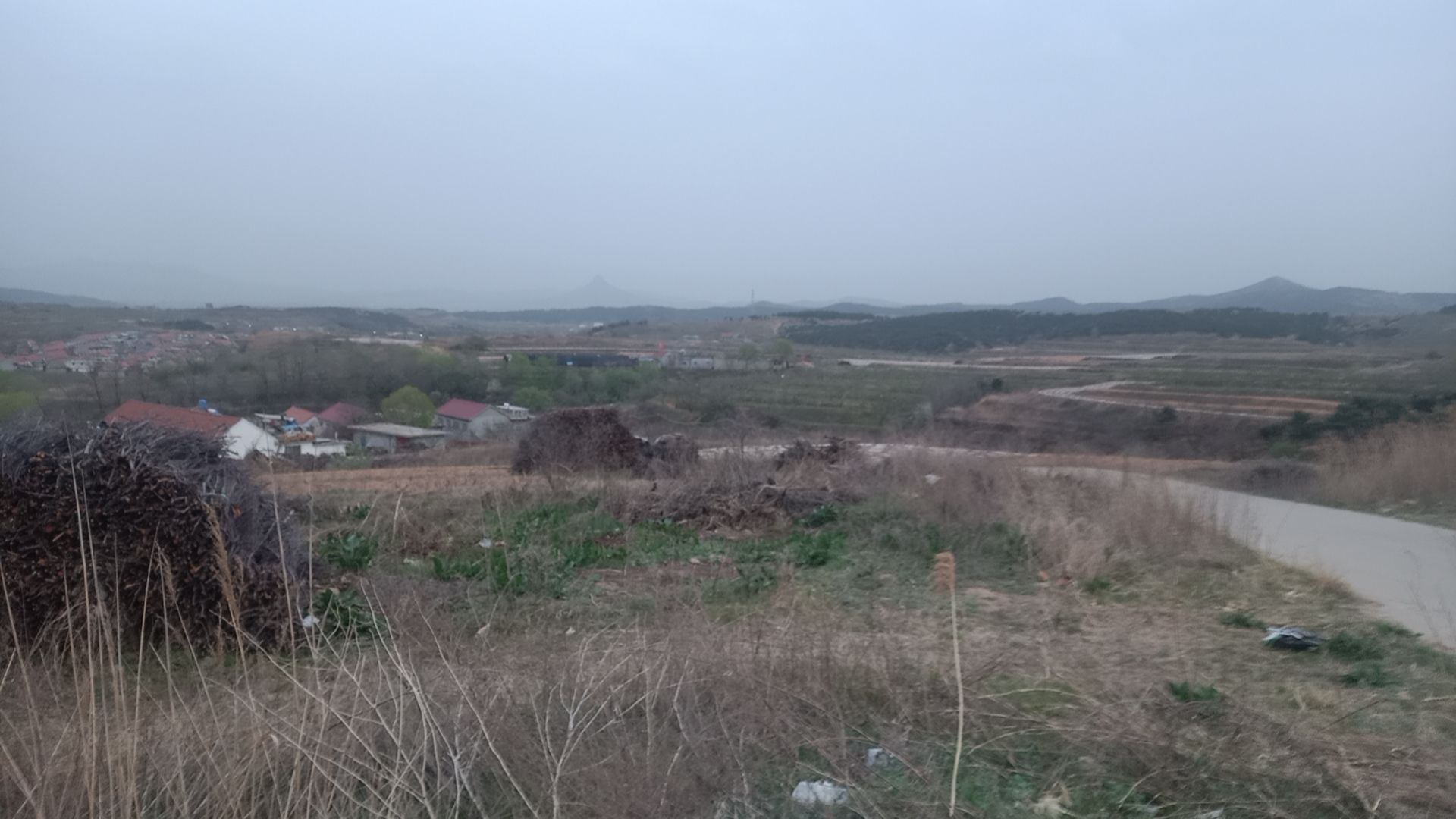 小园庙森林风景区旅行图片 2