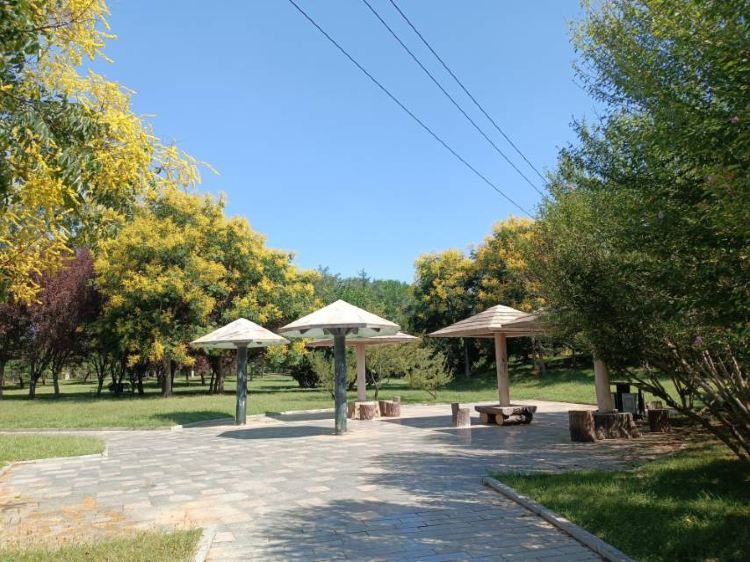 河萍公园旅行图片 1